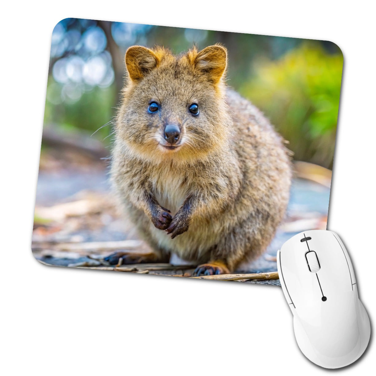 Quokka Photo Low Profile Mouse Pad Mat