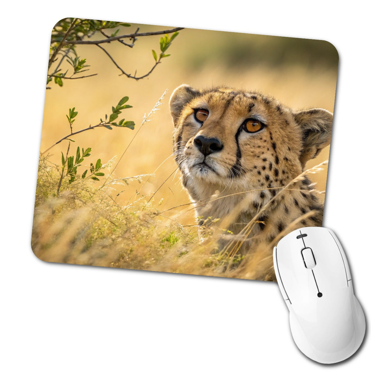 African Cheetah Safari Wildlife Low Profile Mouse Pad Mat