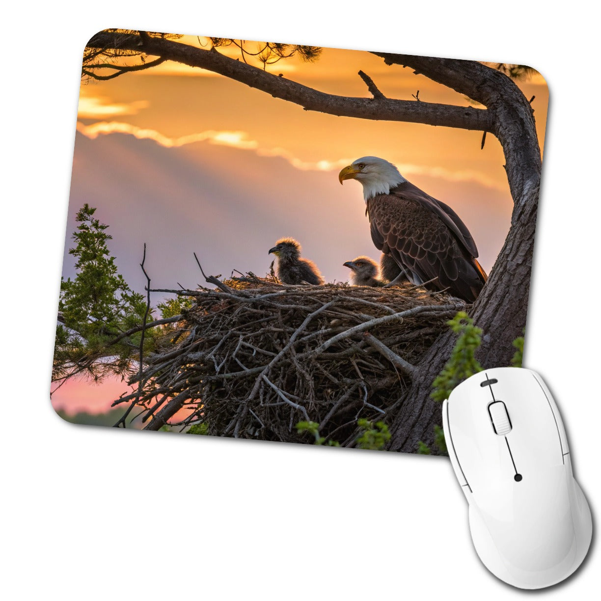 Bald Eagle Babies In Nest Sunset Low Profile Mouse Pad Mat