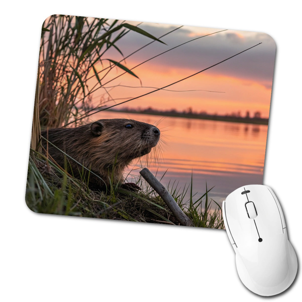 Beaver Pond At Sunset Low Profile Mouse Pad Mat