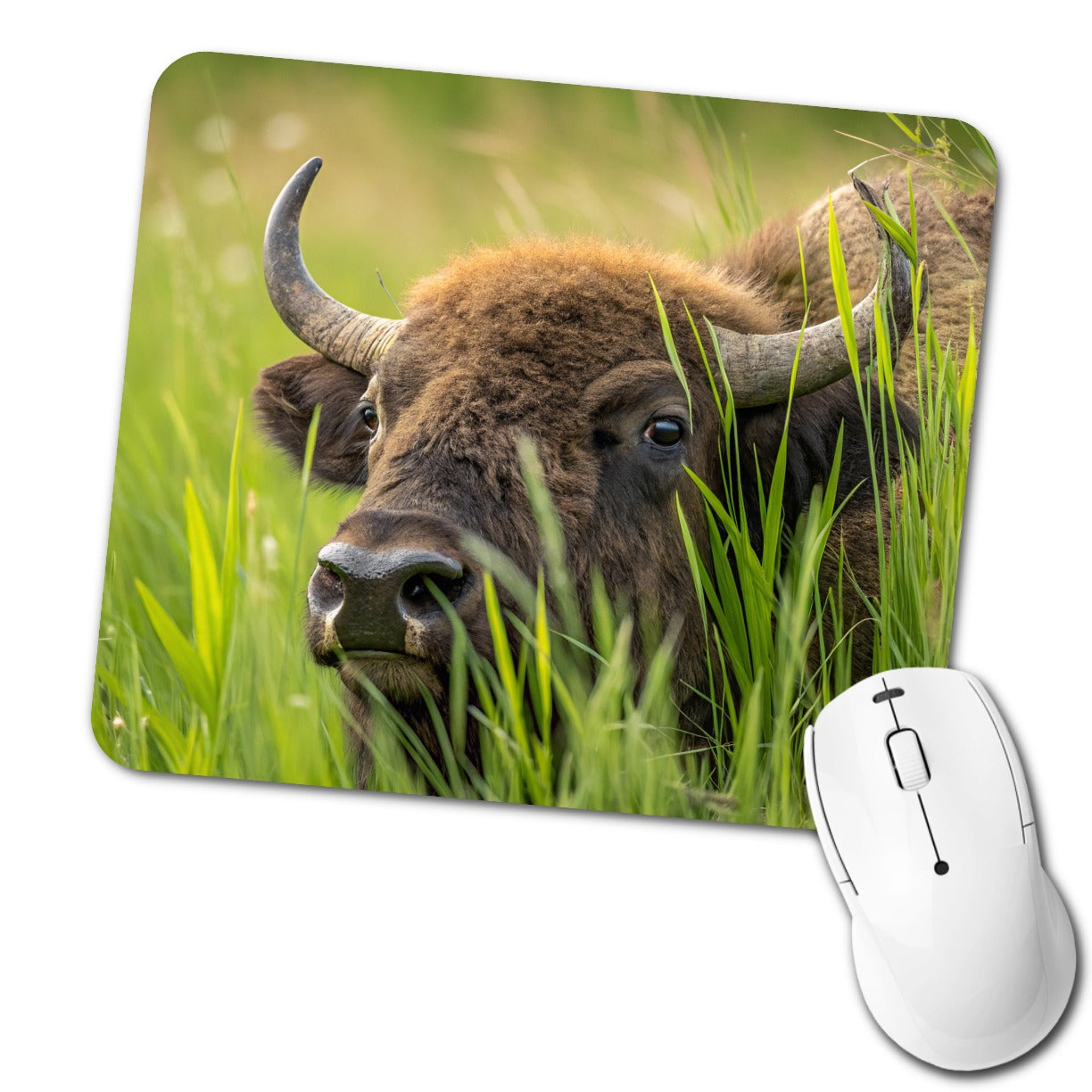 Bison Grassland Wildlife Scene Low Profile Mouse Pad Mat