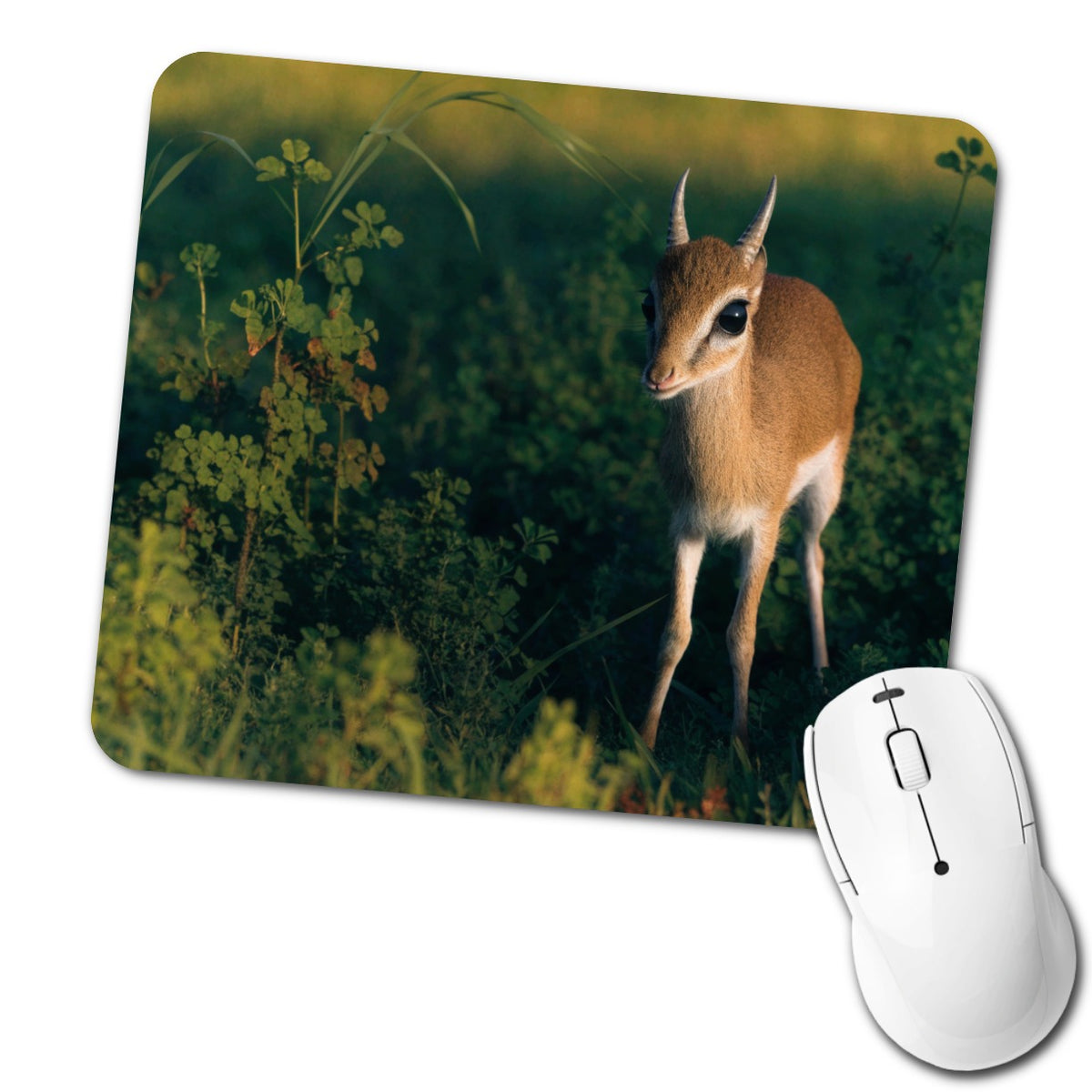 Dik-dik Antelope Low Profile Mouse Pad Mat