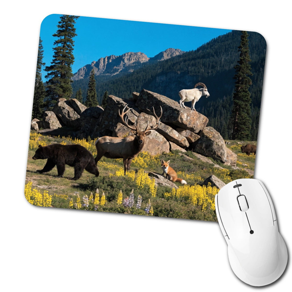 National Park Animals Photo Bear Elk Fox Goat Low Profile Mouse Pad Mat