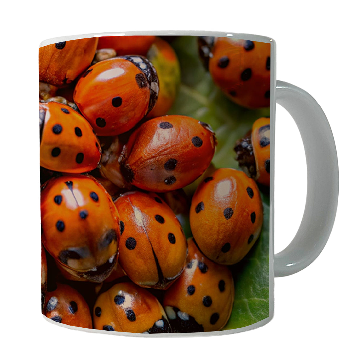 Close-Up Of Ladybugs Covering Leaf Ceramic Tea Coffee Mug Cup - 11oz