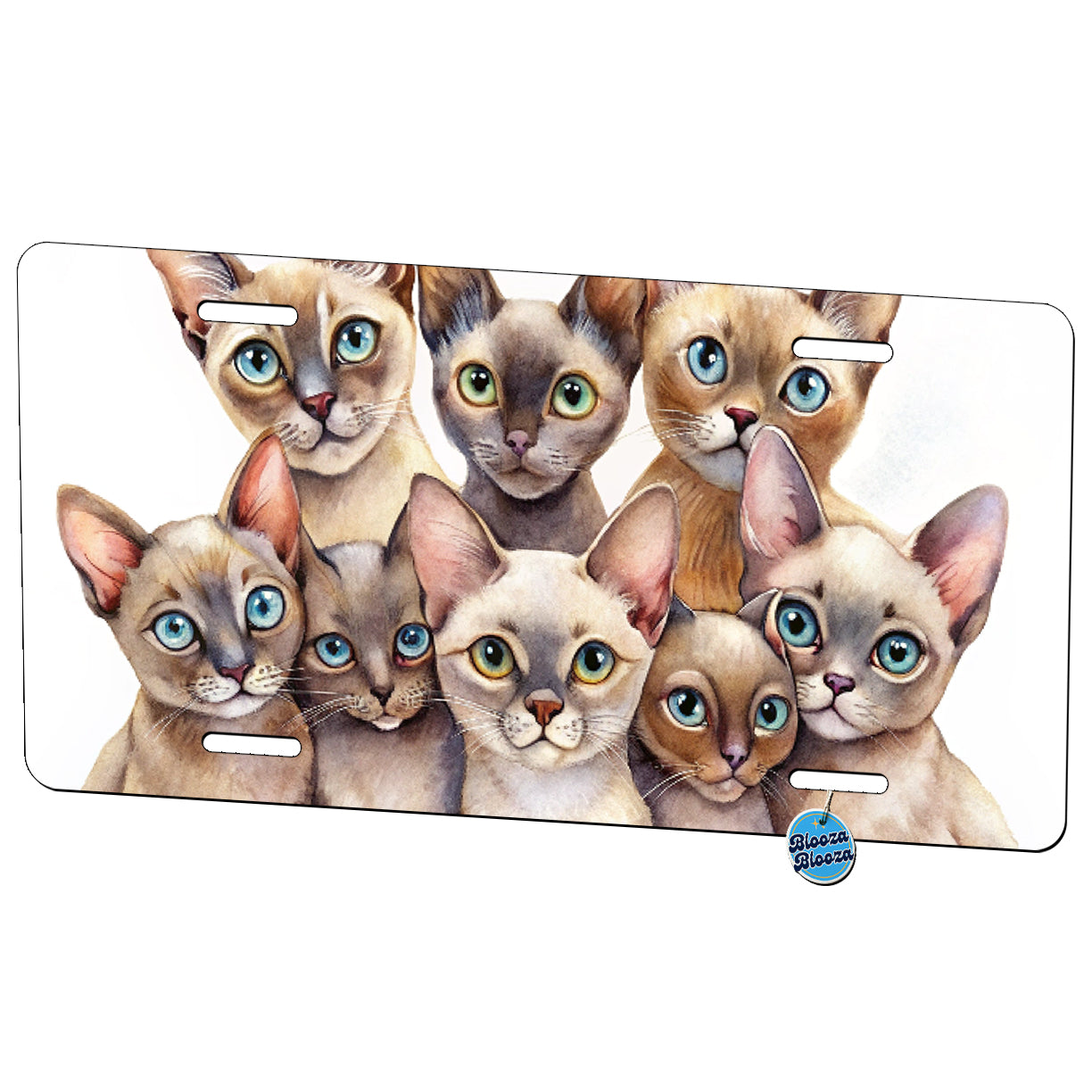 Sweet Burmese Cats Metal Vanity Novelty Tag License Plate for Trucks Cars SUVs
