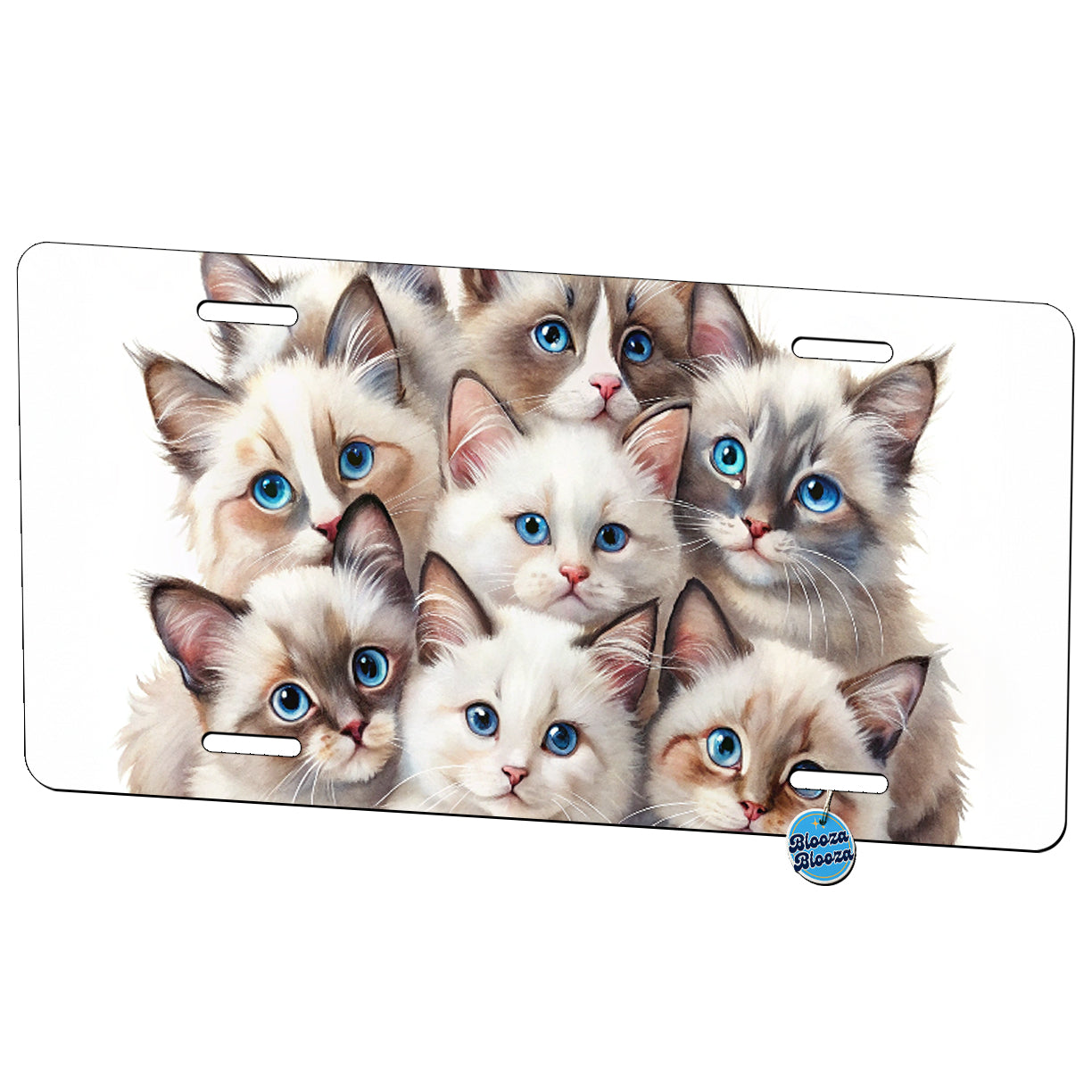 Sweet Ragdoll Cats Metal Vanity Novelty Tag License Plate for Trucks Cars SUVs