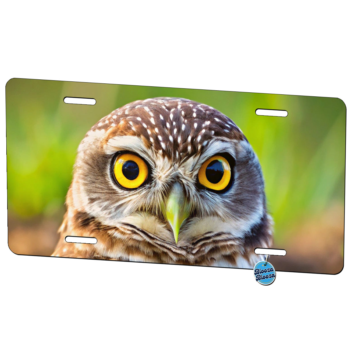 Burrowing Owl Raptor Bird Of Prey Metal Vanity Novelty Tag License Plate for Trucks Cars SUVs