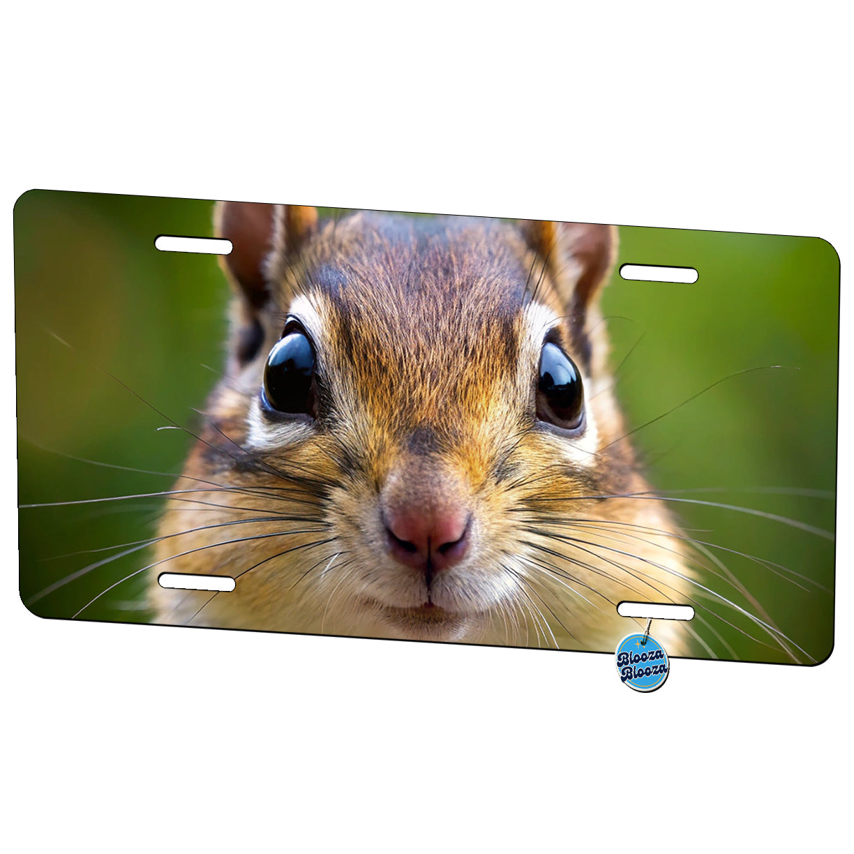 Chipmunk Face Metal Vanity Novelty Tag License Plate for Trucks Cars SUVs