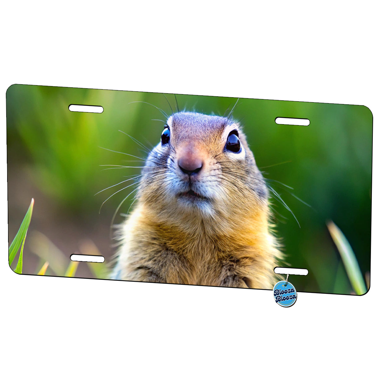 Gopher Metal Vanity Novelty Tag License Plate for Trucks Cars SUVs