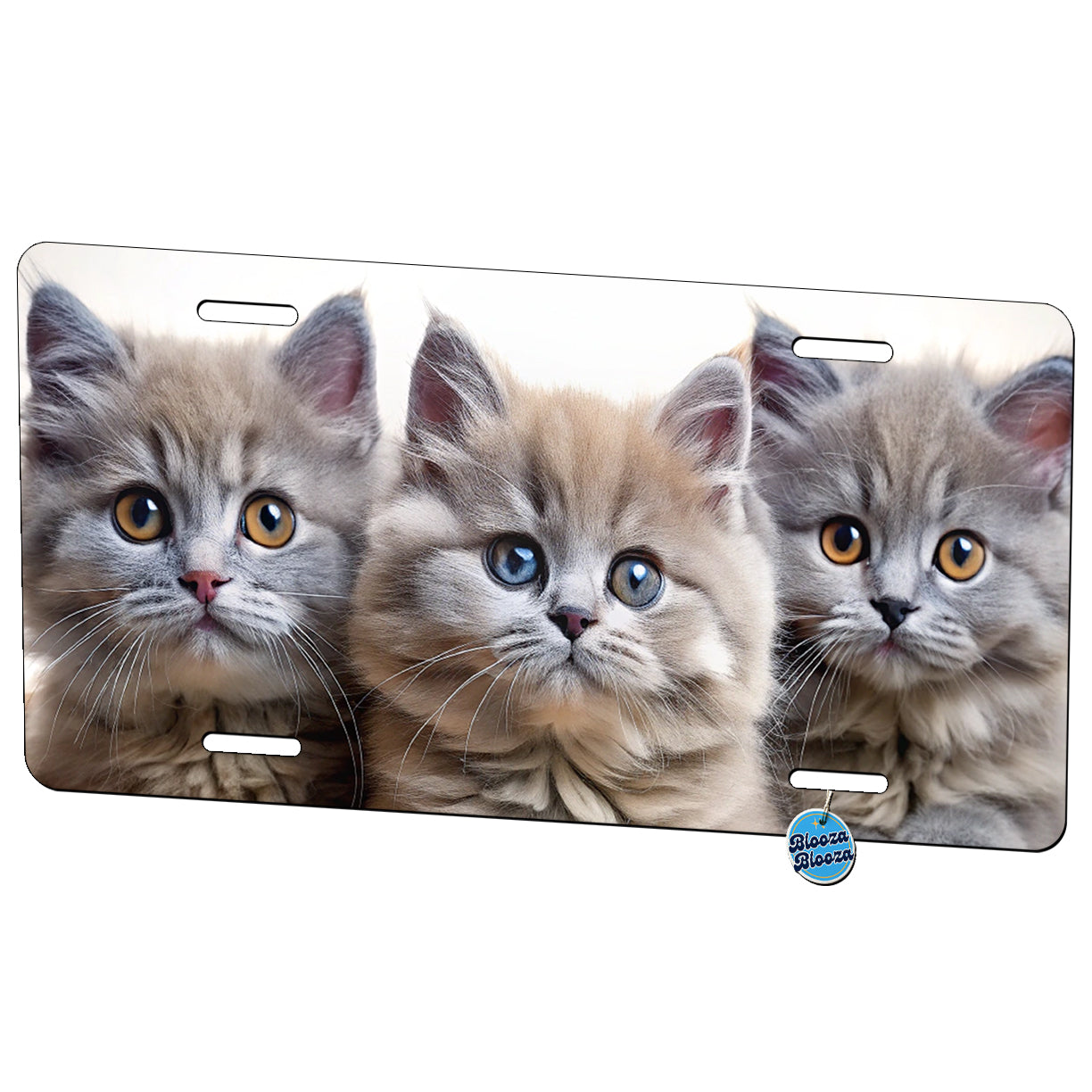 Gray British Longhair Kittens In A Basket Metal Vanity Novelty Tag License Plate for Trucks Cars SUVs