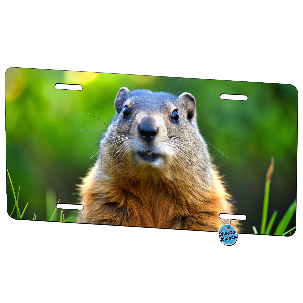 Groundhog Metal Vanity Novelty Tag License Plate for Trucks Cars SUVs