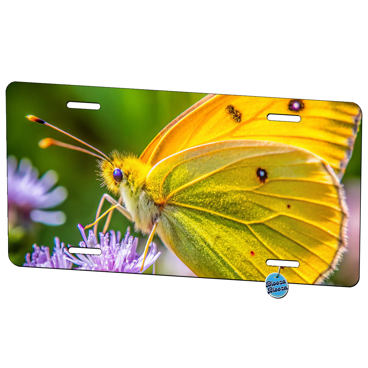 Orange Sulphur Butterfly Metal Vanity Novelty Tag License Plate for Trucks Cars SUVs