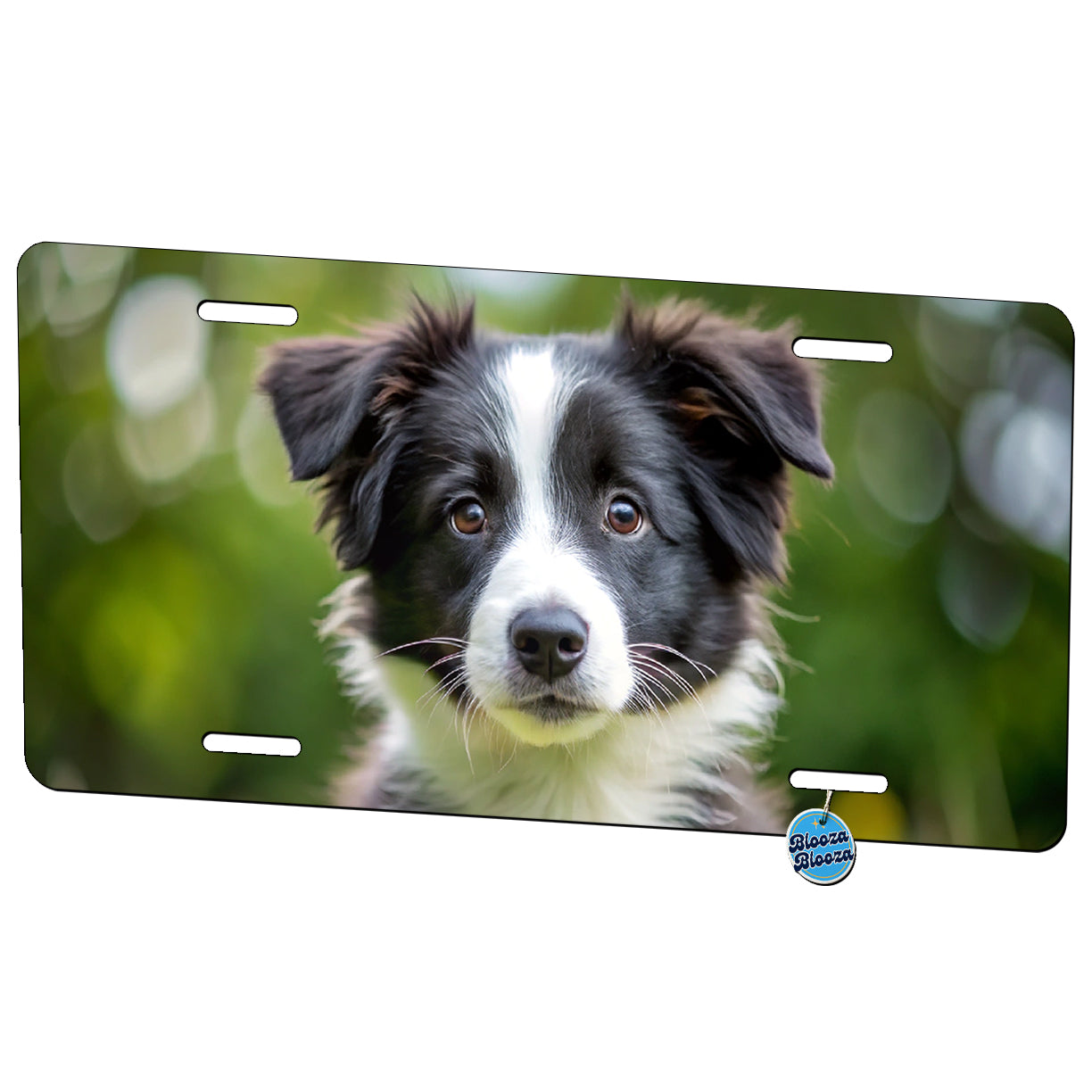 Border Collie Dog Puppy Photo Metal Vanity Novelty Tag License Plate for Trucks Cars SUVs