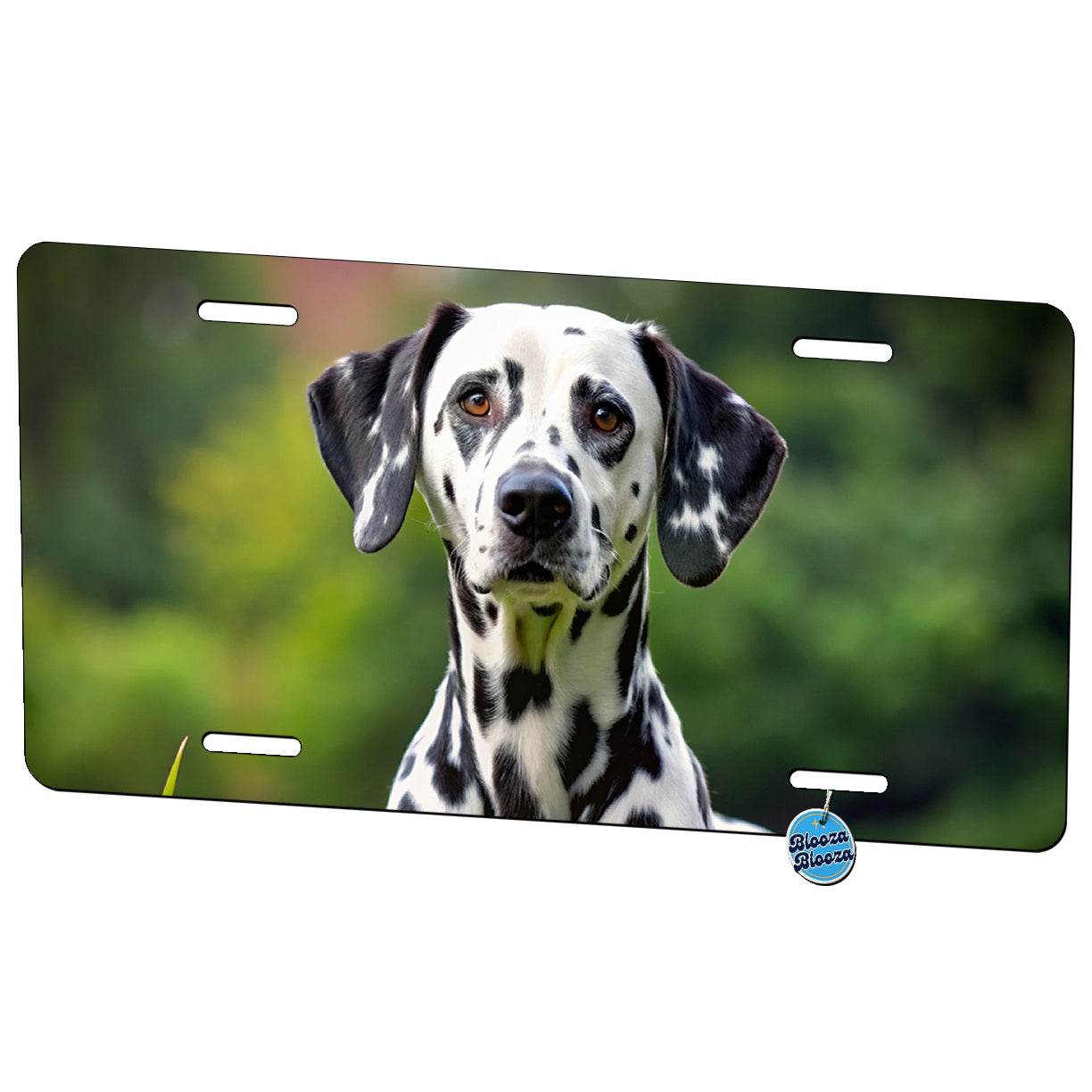 Dalmatian Dog Photo Metal Vanity Novelty Tag License Plate for Trucks Cars SUVs
