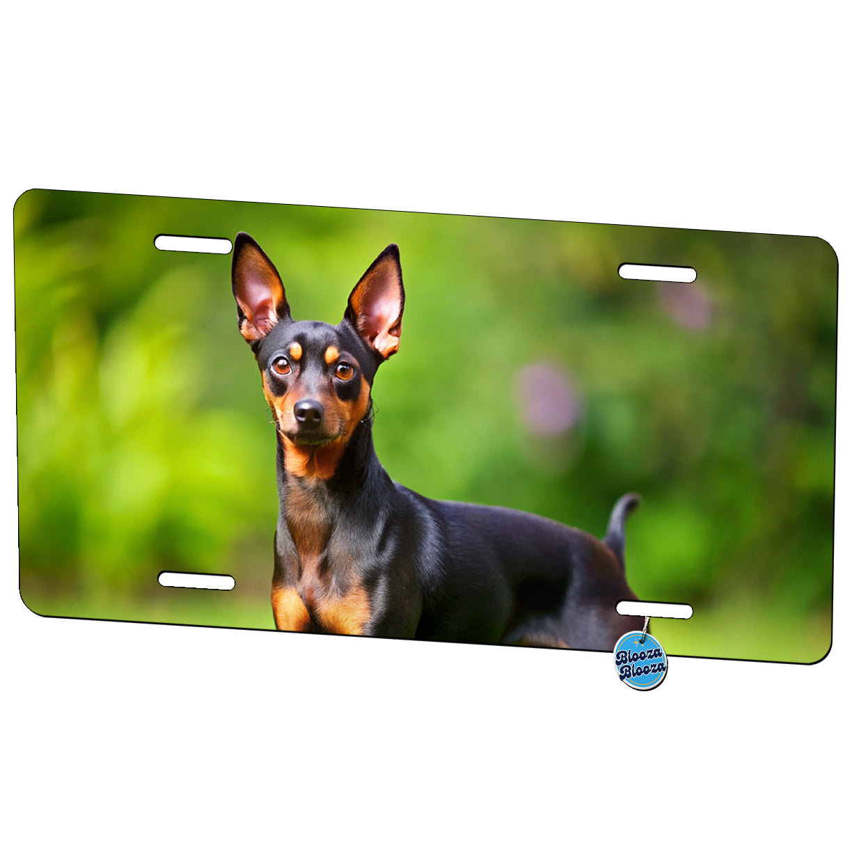 Miniature Pinscher Dog Photo Metal Vanity Novelty Tag License Plate for Trucks Cars SUVs