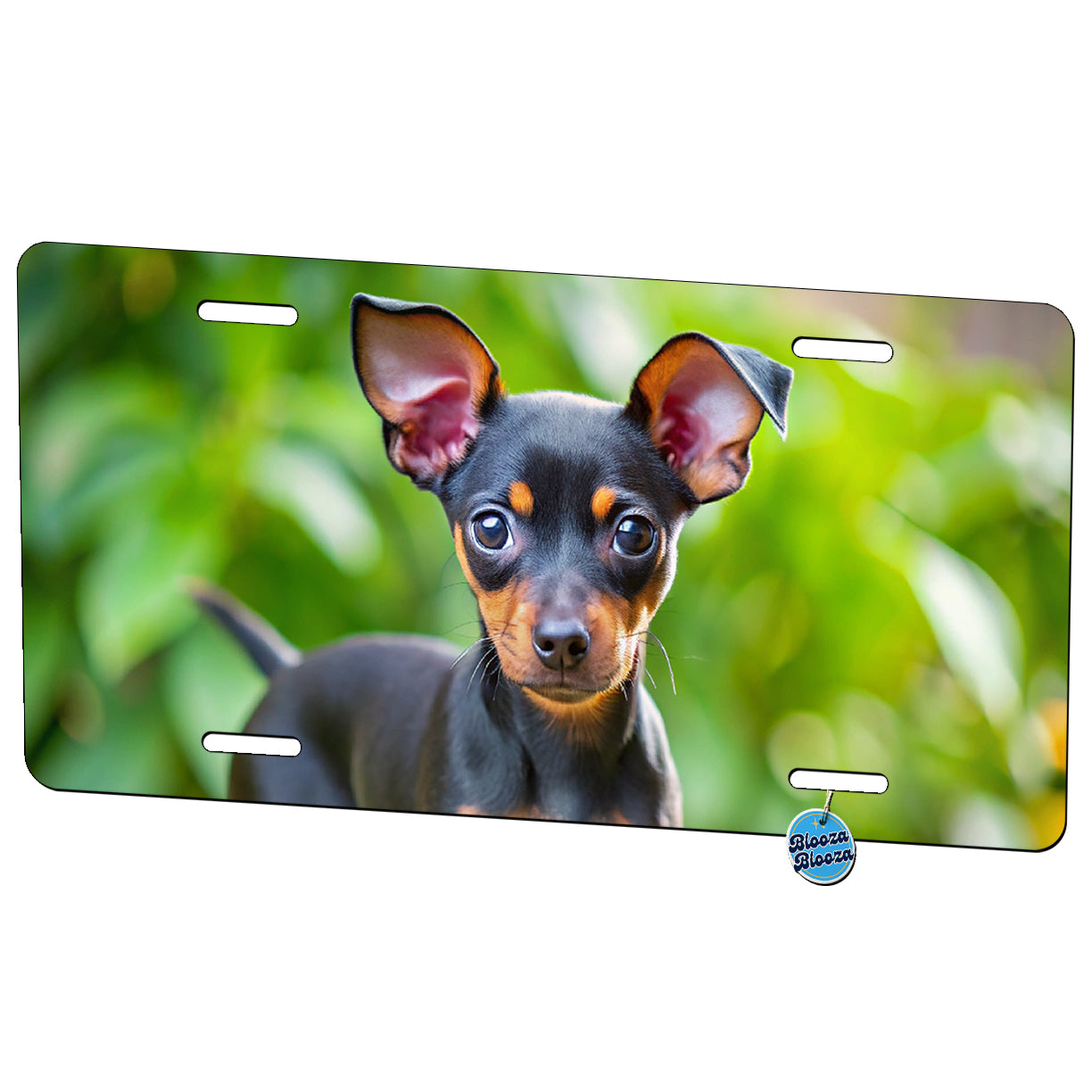 Miniature Pinscher Dog Puppy Photo Metal Vanity Novelty Tag License Plate for Trucks Cars SUVs