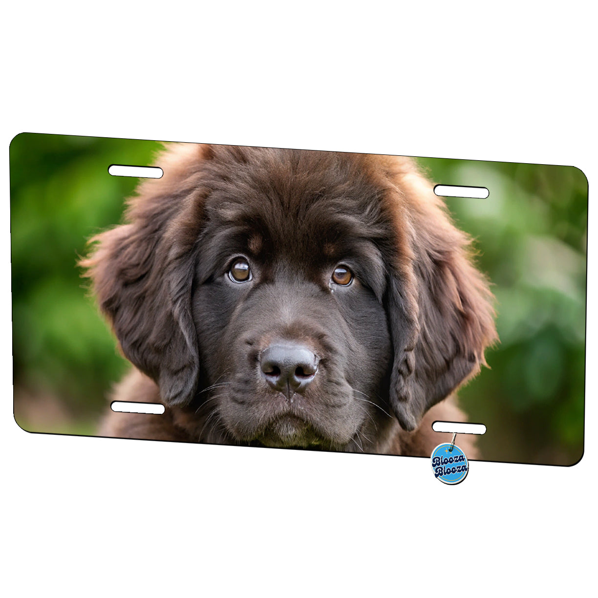 Newfoundland Dog Puppy Photo Metal Vanity Novelty Tag License Plate for Trucks Cars SUVs