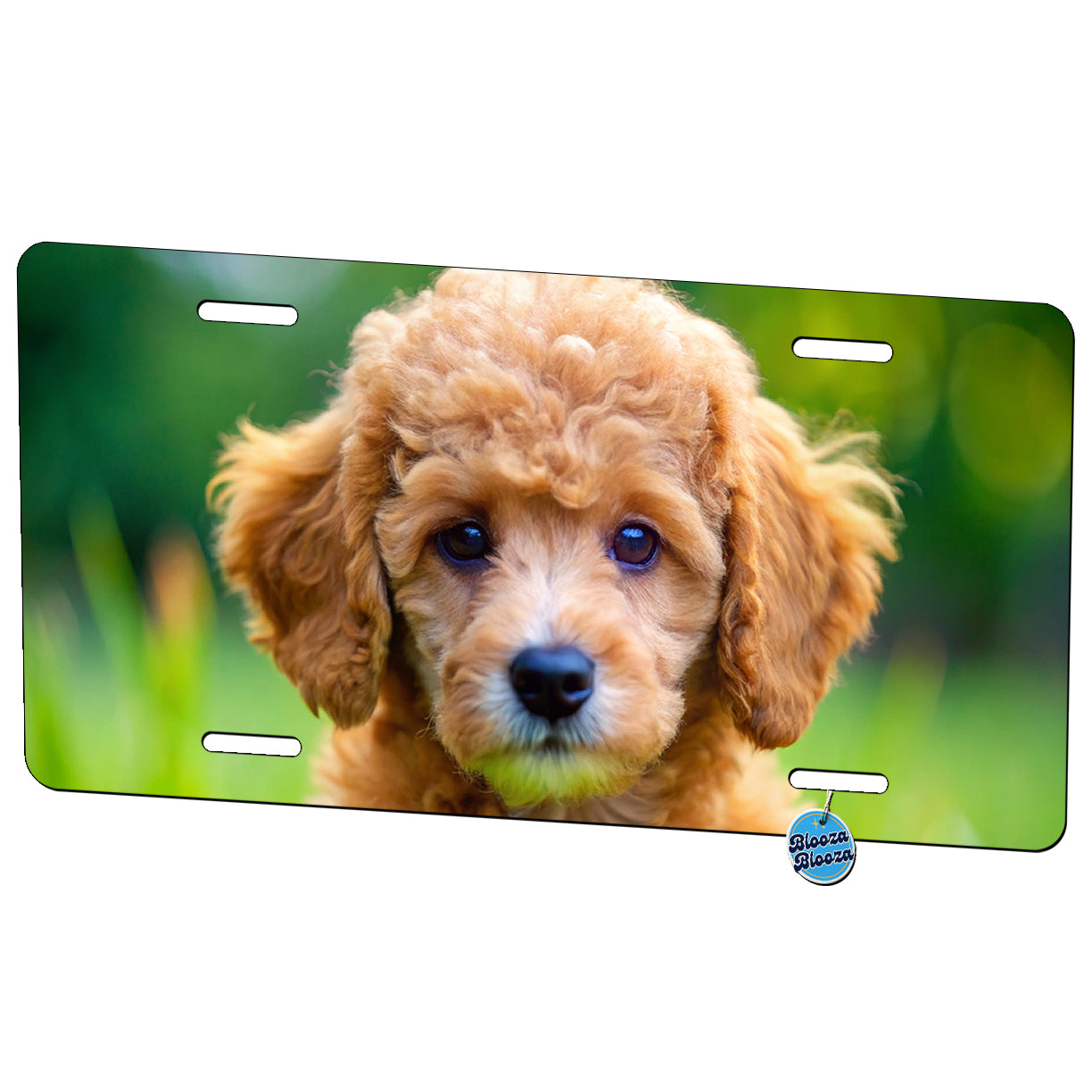 Poodle Dog Puppy Photo Metal Vanity Novelty Tag License Plate for Trucks Cars SUVs