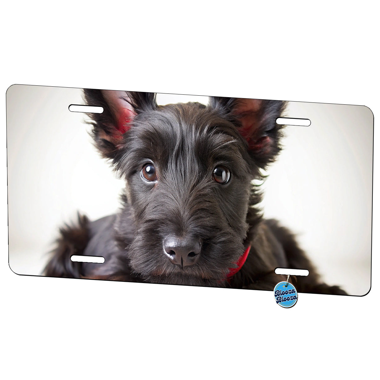 Scottish Terrier Dog Puppy Photo Metal Vanity Novelty Tag License Plate for Trucks Cars SUVs