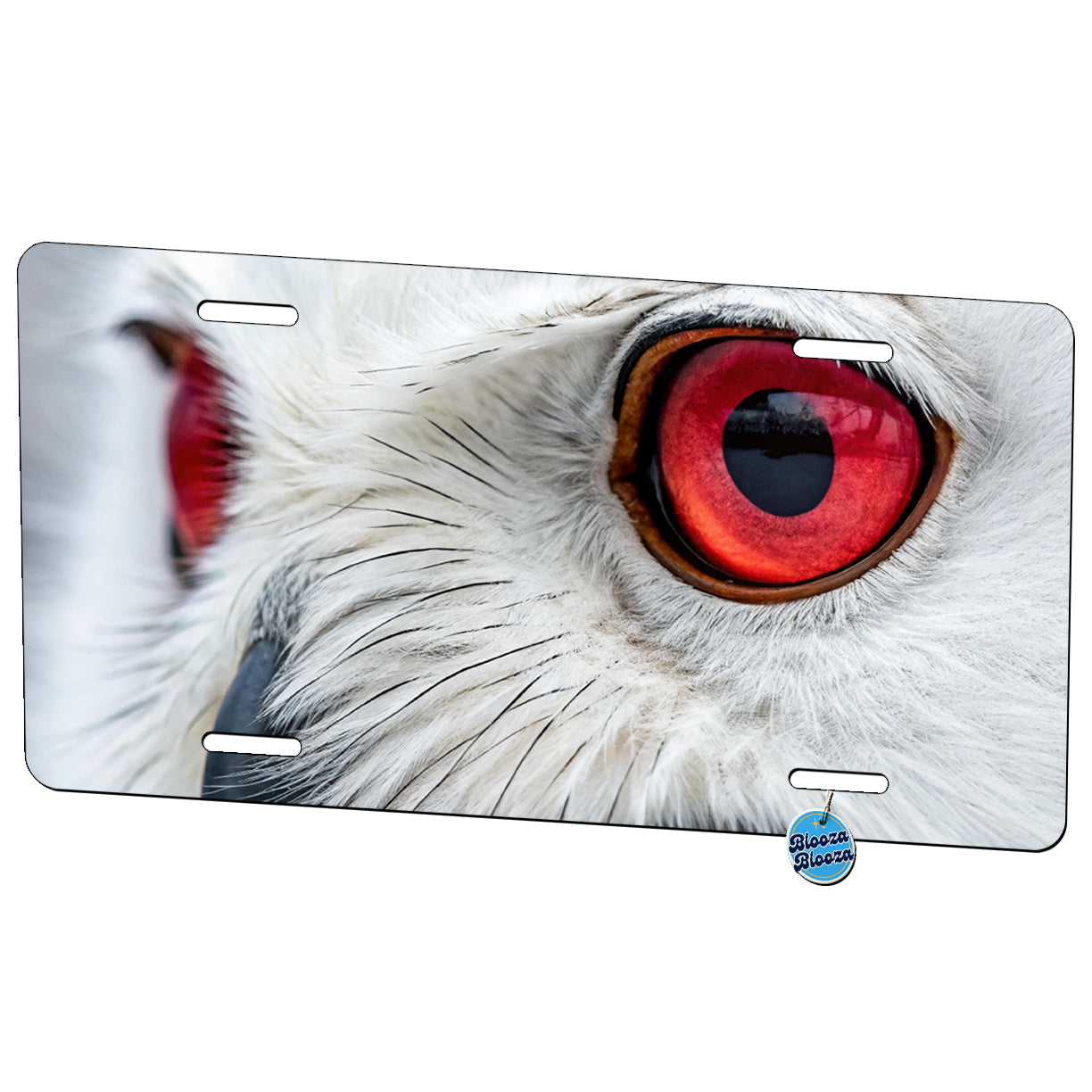 Red Eyes Owl Bird Metal Vanity Novelty Tag License Plate for Trucks Cars SUVs