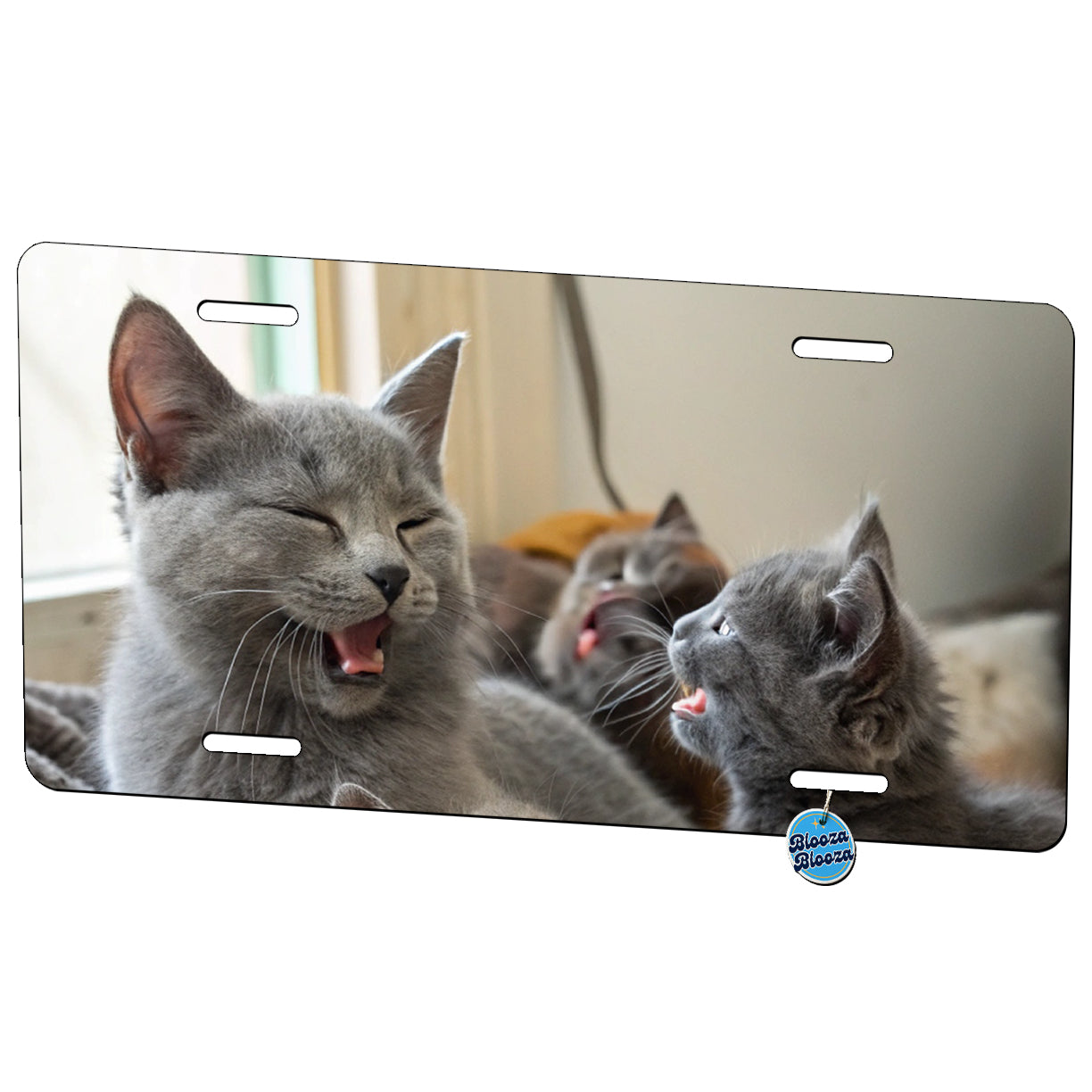 Bunch Of Gray Cats Metal Vanity Novelty Tag License Plate for Trucks Cars SUVs