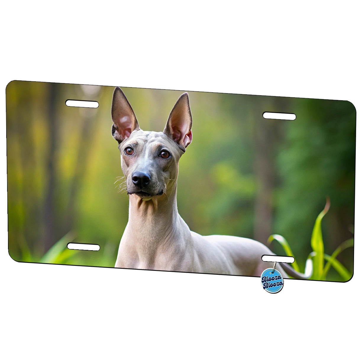 American Hairless Terrier Dog Photo Metal Vanity Novelty Tag License Plate for Trucks Cars SUVs