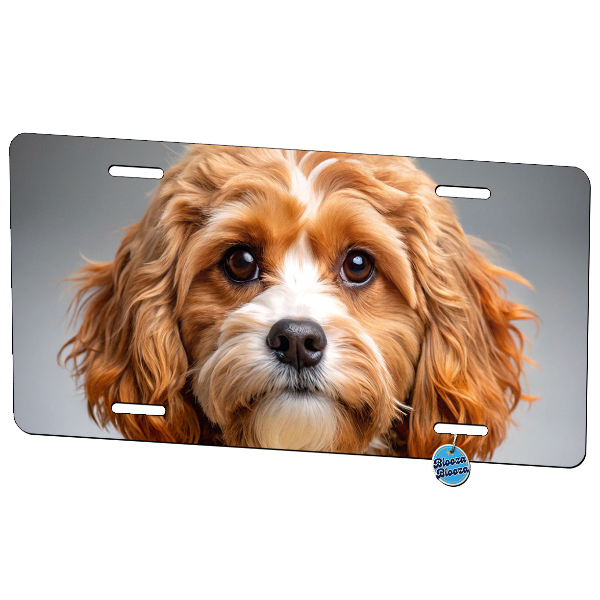 Cavapoo Dog Photo Metal Vanity Novelty Tag License Plate for Trucks Cars SUVs