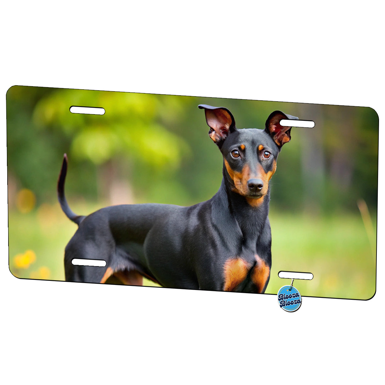 Manchester Terrier Dog Photo Metal Vanity Novelty Tag License Plate for Trucks Cars SUVs