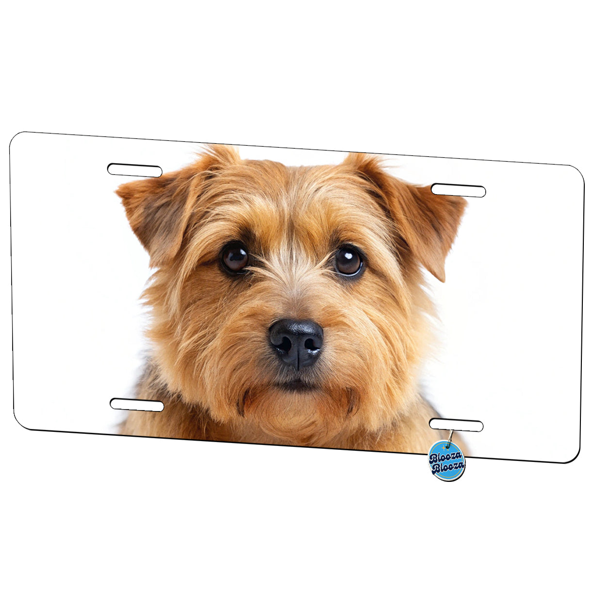 Norfolk Terrier Dog Photo Metal Vanity Novelty Tag License Plate for Trucks Cars SUVs