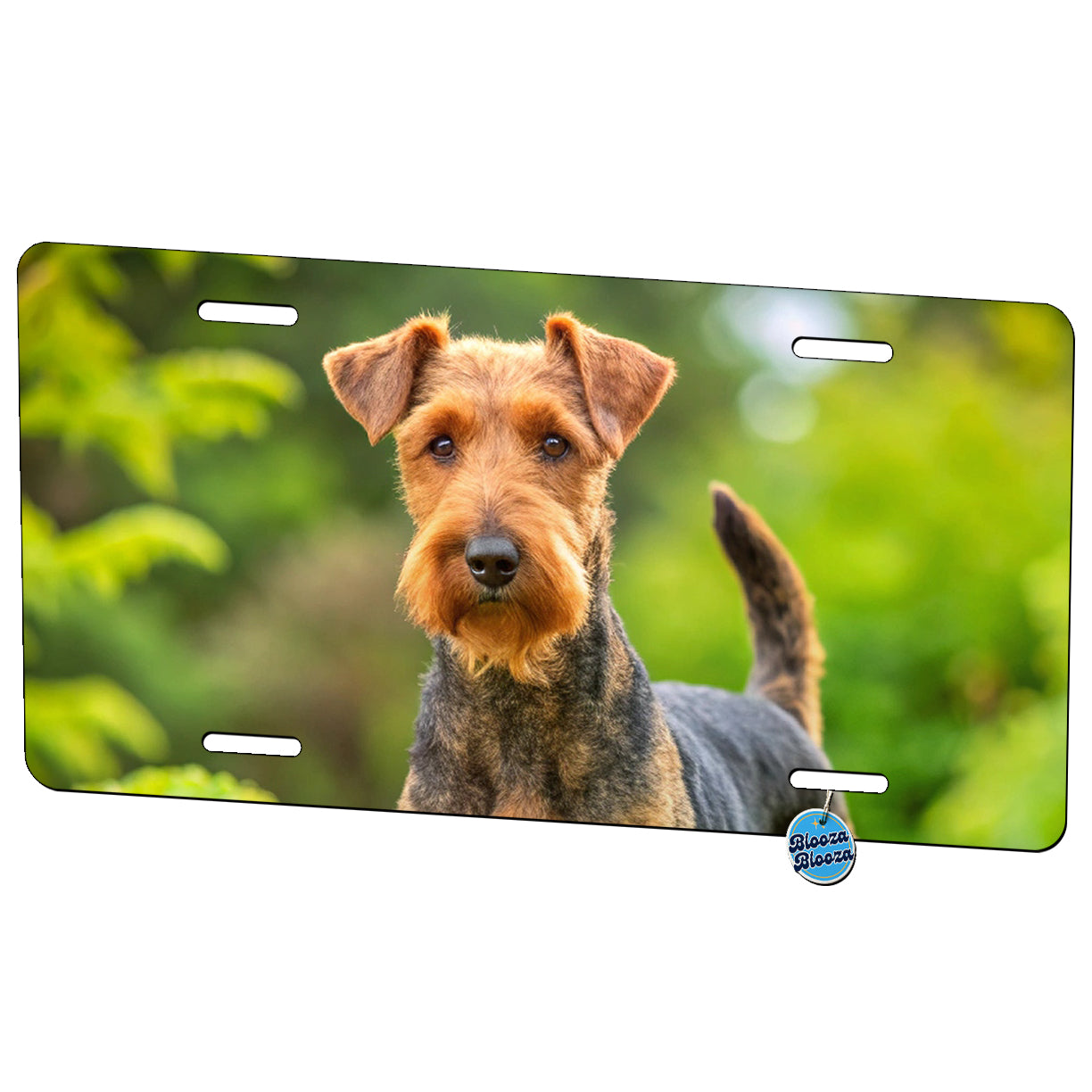 Welsh Terrier Dog Photo Metal Vanity Novelty Tag License Plate for Trucks Cars SUVs