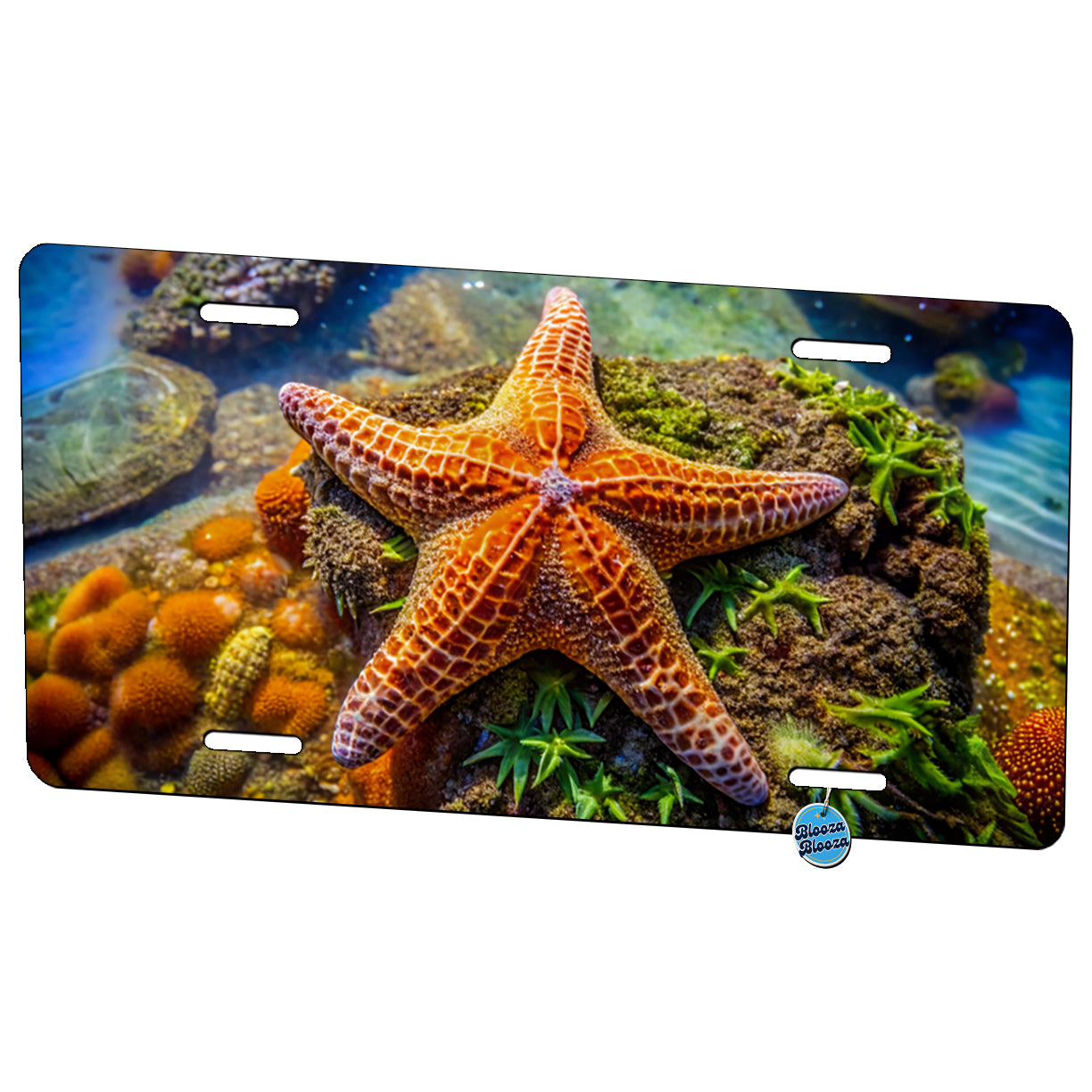 Starfish In Tide Pool Metal Vanity Novelty Tag License Plate for Trucks Cars SUVs