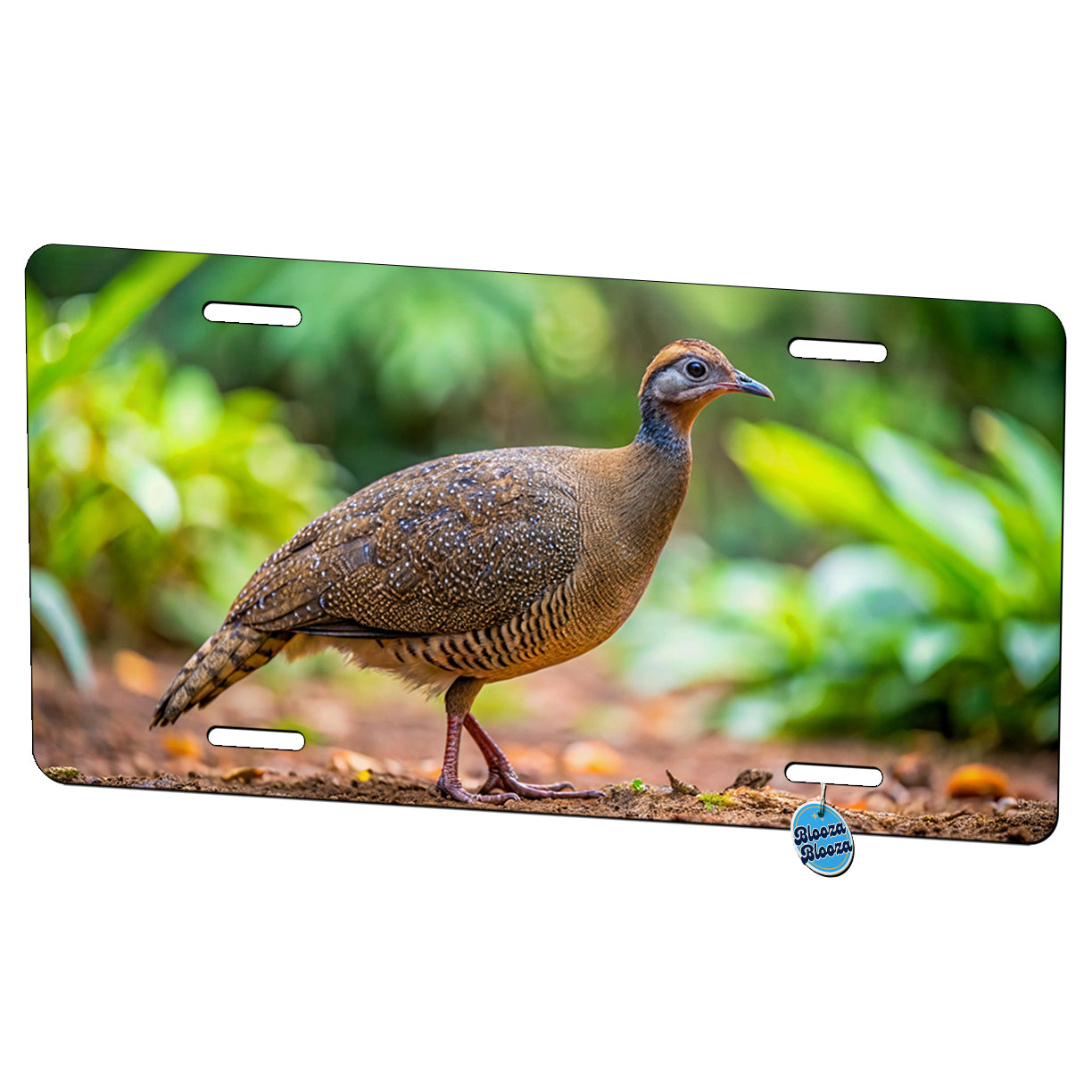 Tinamou Bird Photo Metal Vanity Novelty Tag License Plate for Trucks Cars SUVs