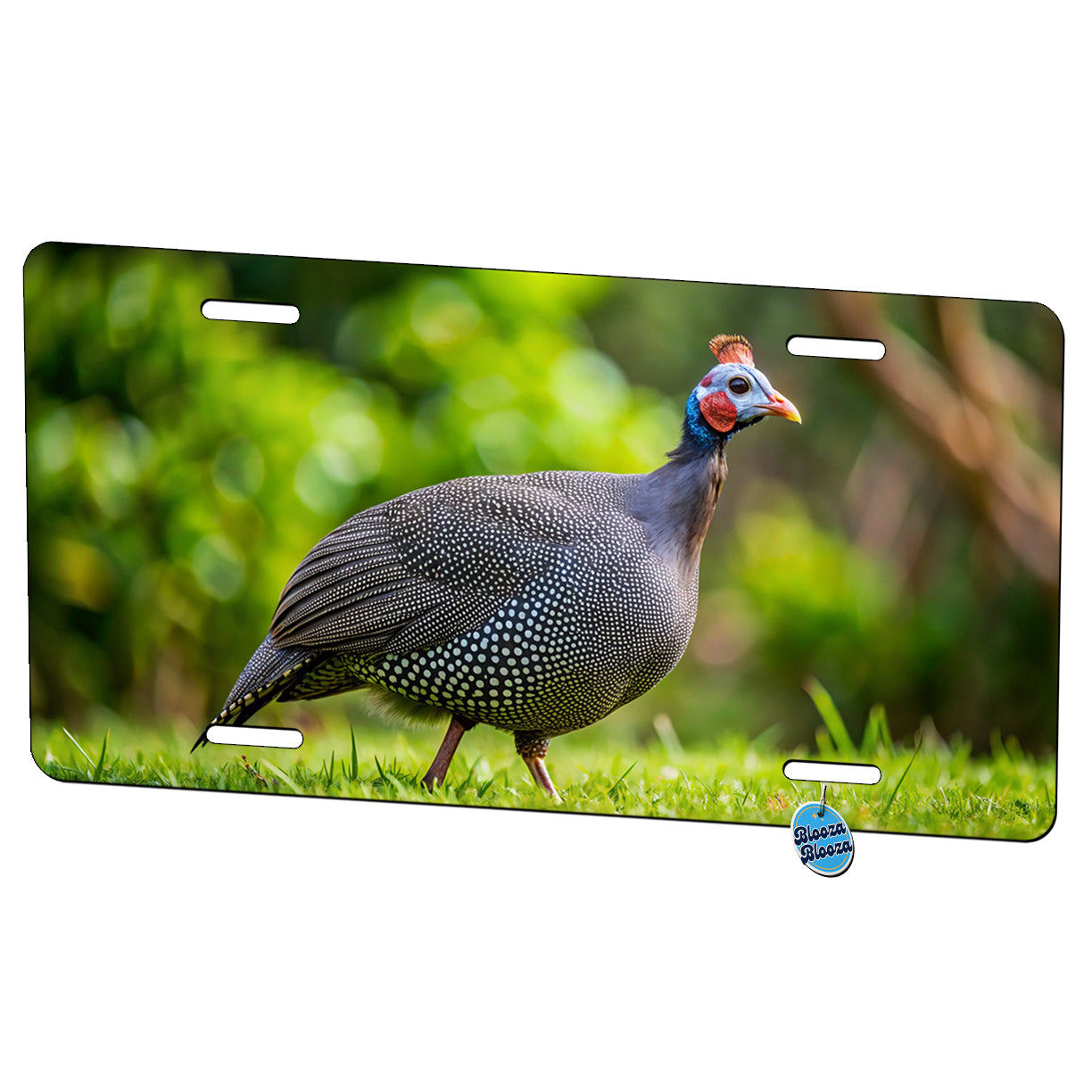 Guinea Fowl Photograph Metal Vanity Novelty Tag License Plate for Trucks Cars SUVs