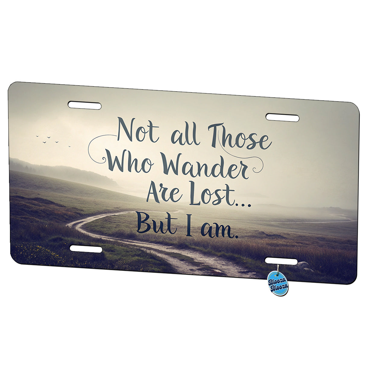 Not All Those Who Wander Are Lost But I Am Funny Metal Vanity Novelty Tag License Plate for Trucks Cars SUVs