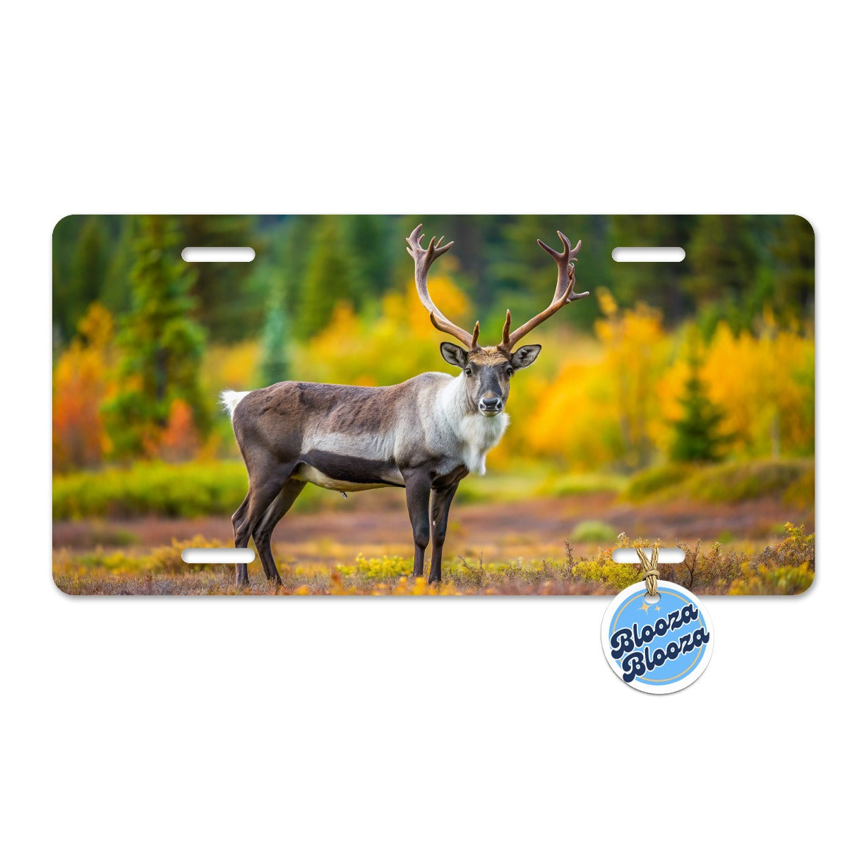 Caribou Deer Reindeer Photo Metal Vanity Novelty Tag License Plate for Trucks Cars SUVs