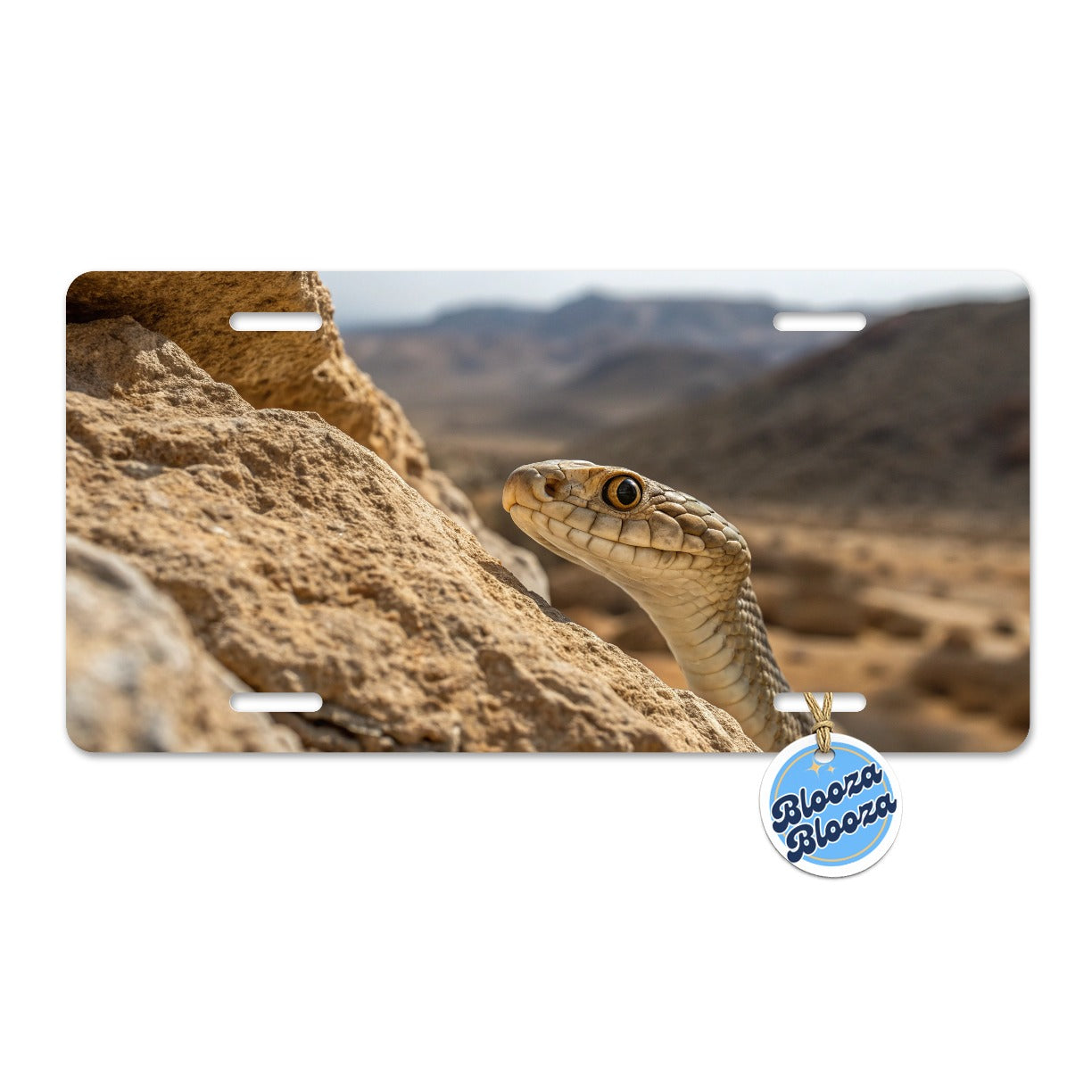Asp Snake Wildlife Nature Metal Vanity Novelty Tag License Plate for Trucks Cars SUVs