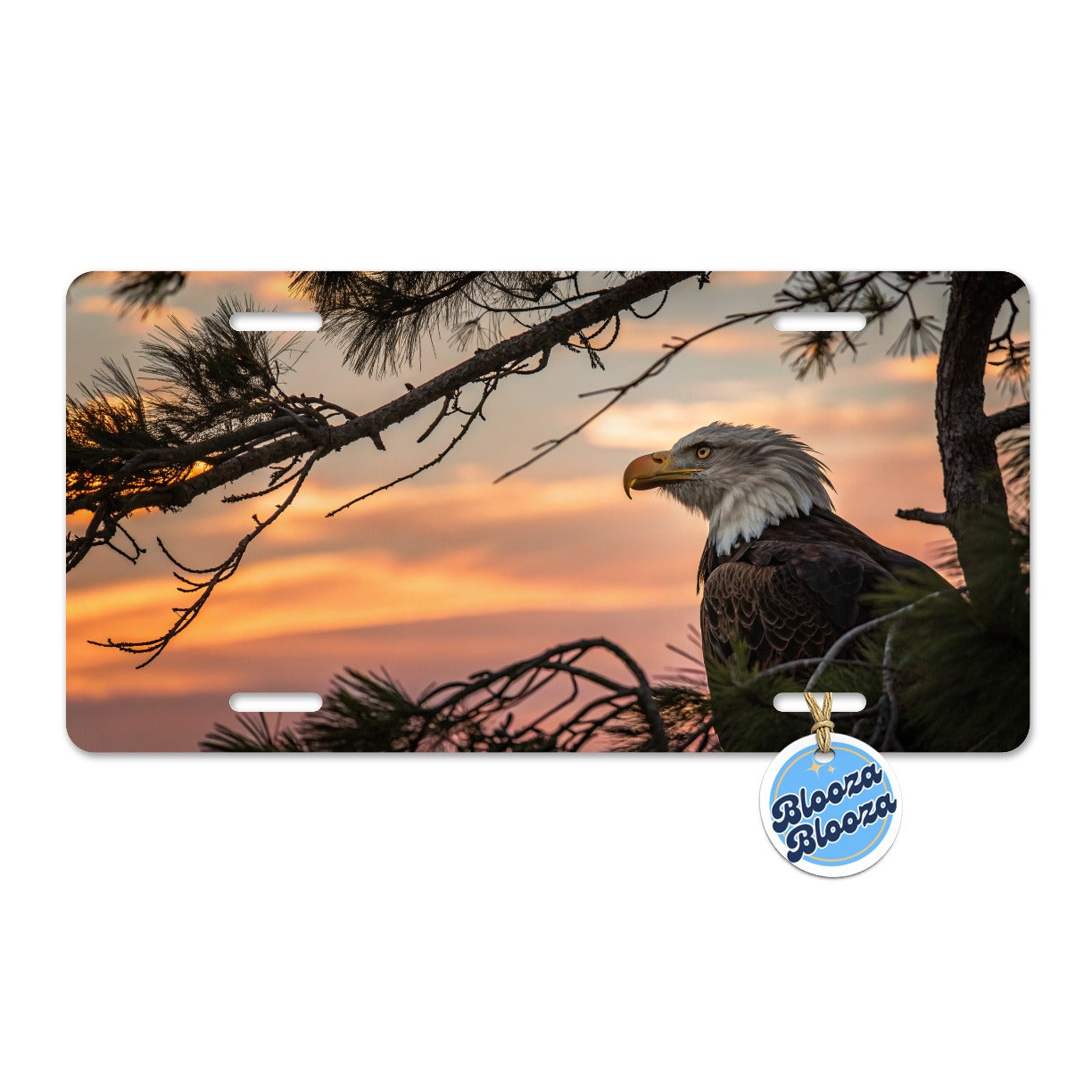 Bald Eagle At Sunset Metal Vanity Novelty Tag License Plate for Trucks Cars SUVs