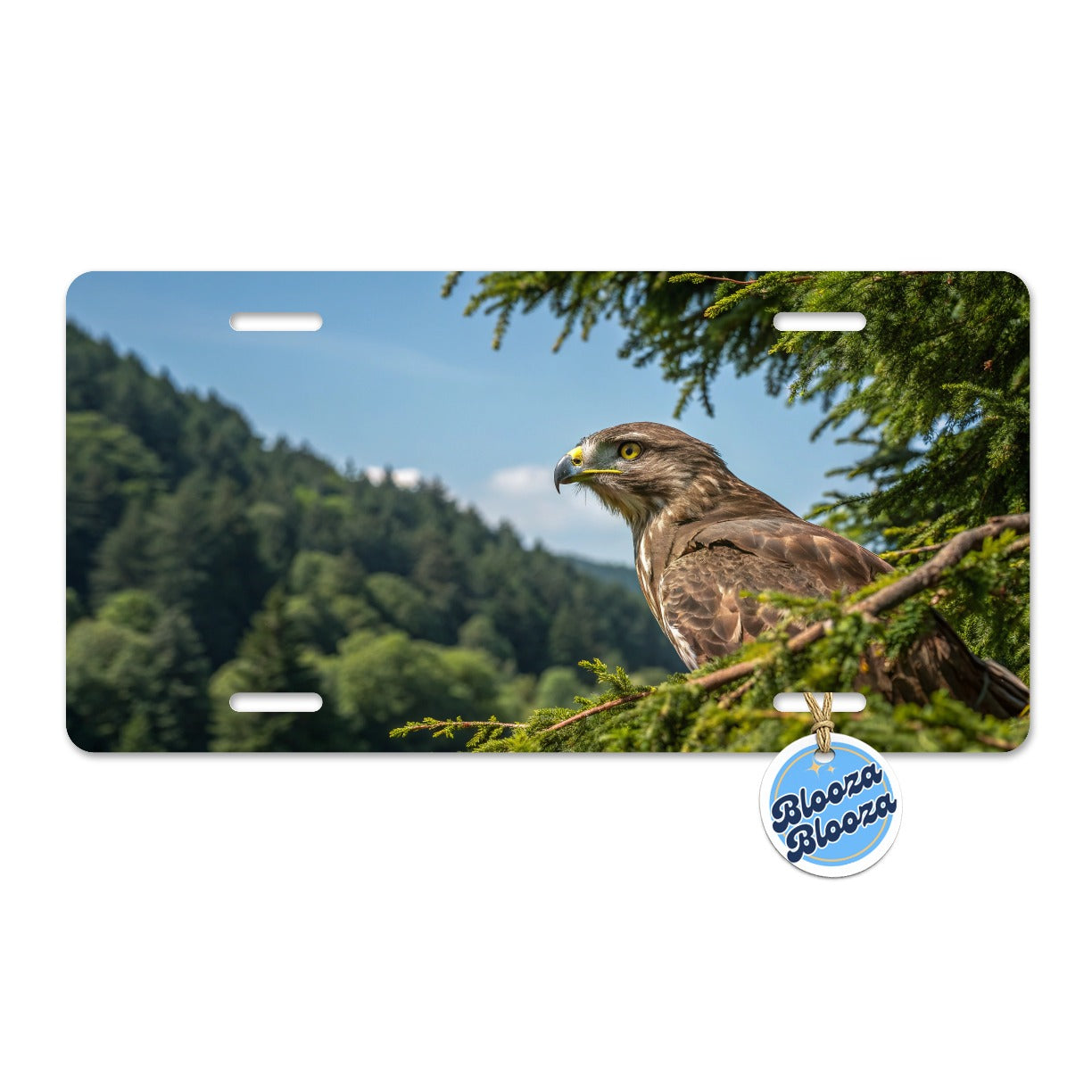 Buzzard Bird Wildlife Nature Metal Vanity Novelty Tag License Plate for Trucks Cars SUVs