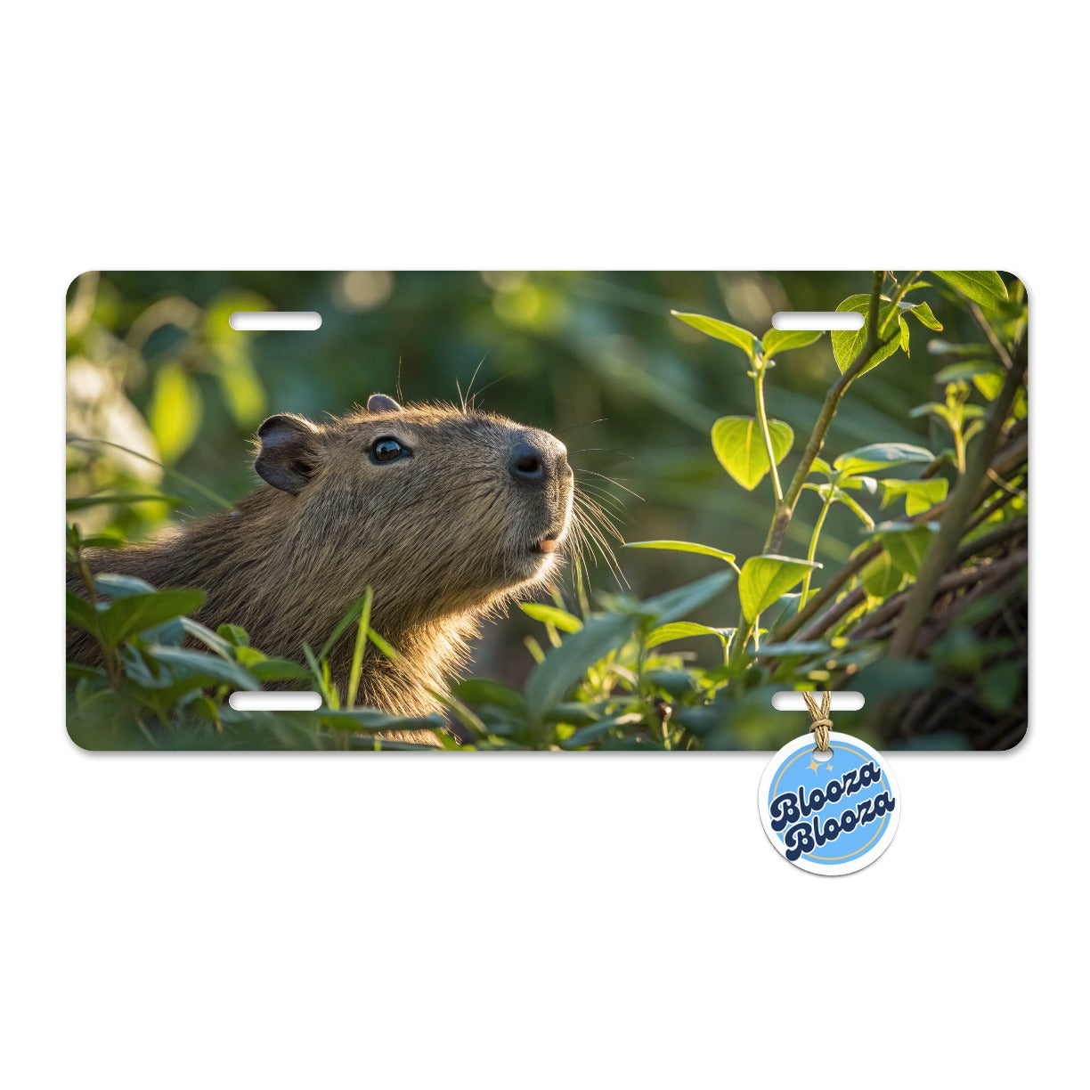 Capybara Wildlife Nature Scene Metal Vanity Novelty Tag License Plate for Trucks Cars SUVs