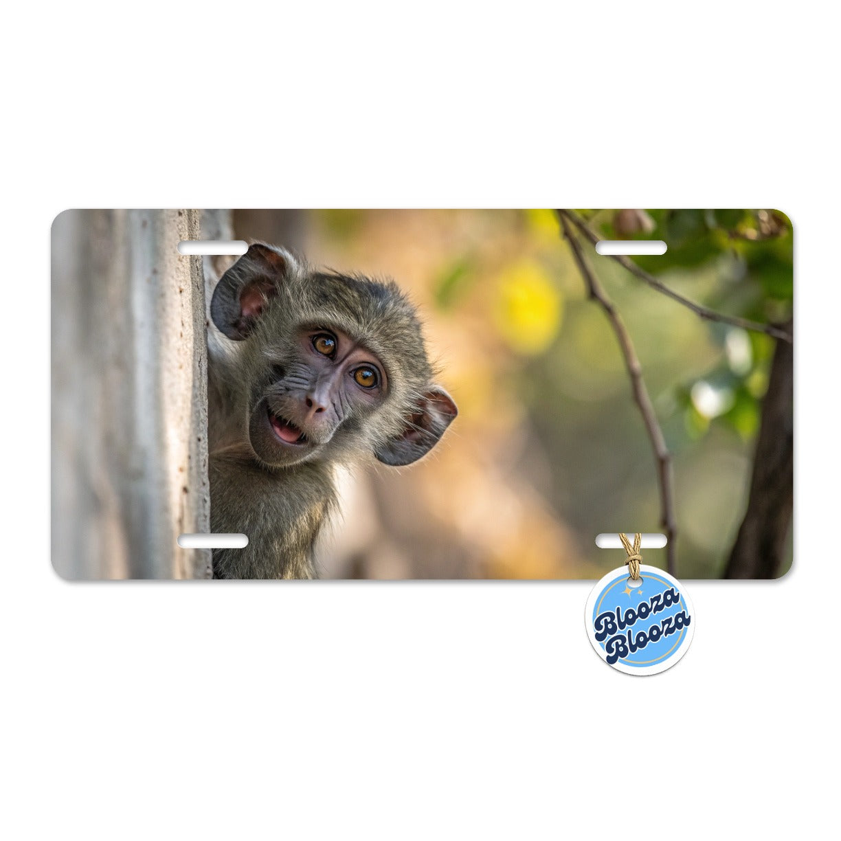 Curious Baboon Wildlife Nature Metal Vanity Novelty Tag License Plate for Trucks Cars SUVs