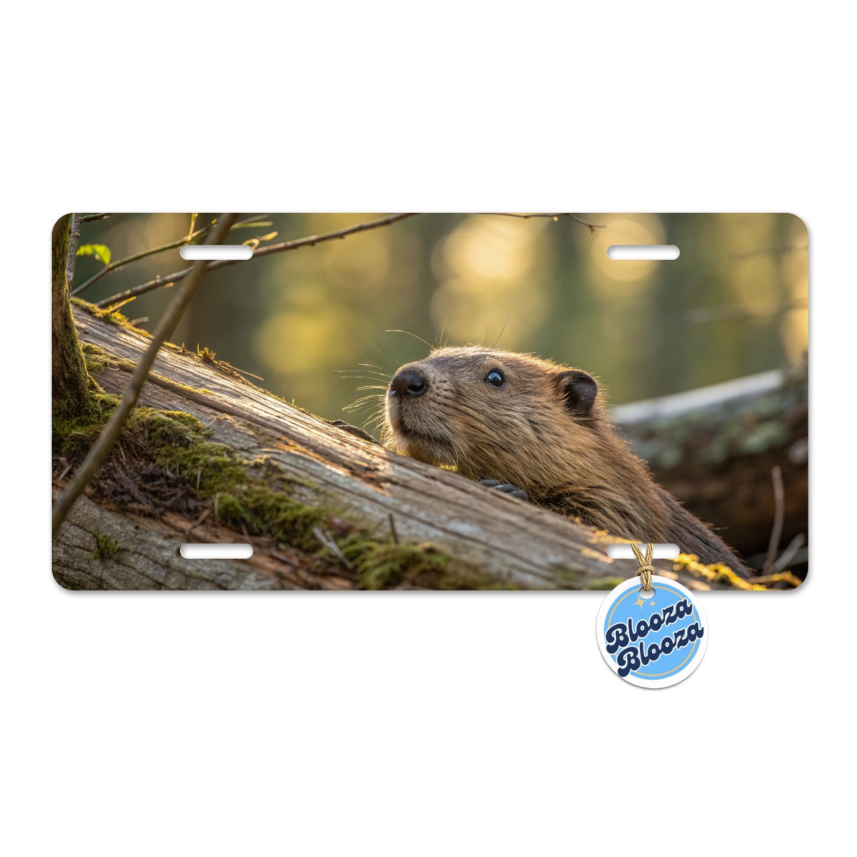 Curious Beaver Wildlife Nature Metal Vanity Novelty Tag License Plate for Trucks Cars SUVs