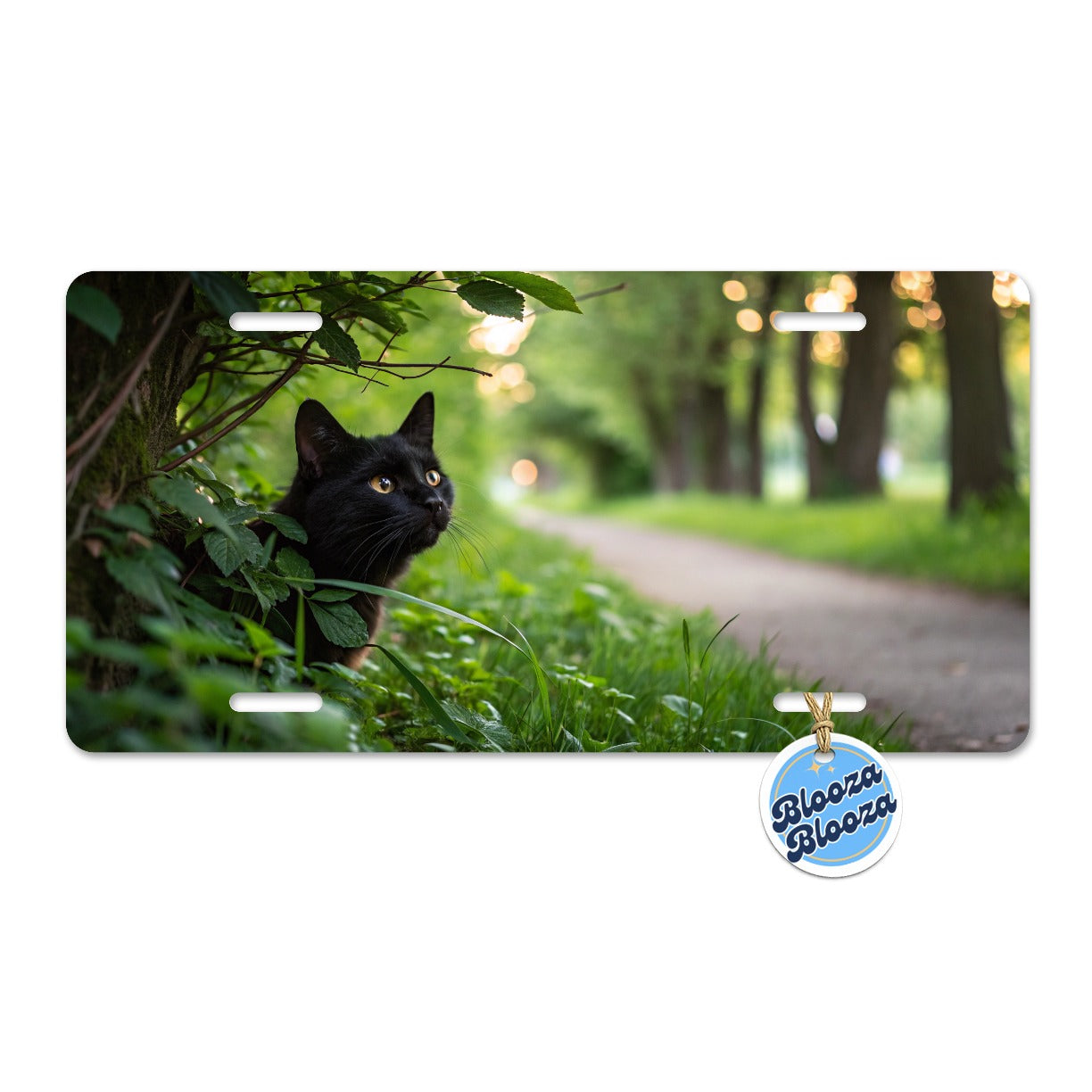Curious Black Cat Nature Metal Vanity Novelty Tag License Plate for Trucks Cars SUVs