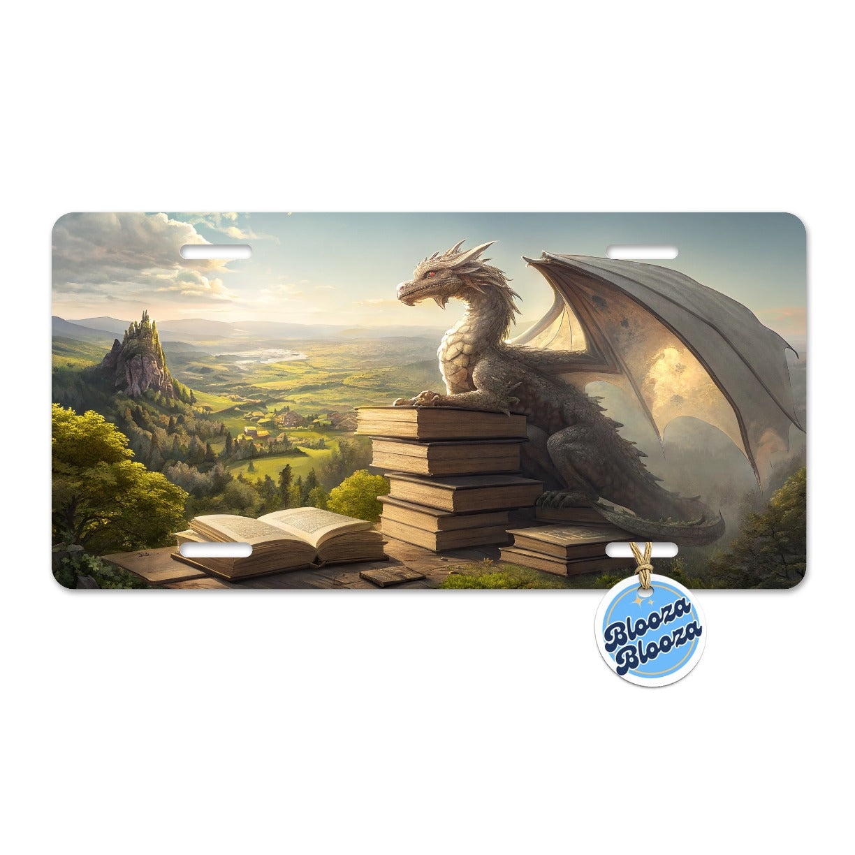 Dragon Books Reading Mountaintop Metal Vanity Novelty Tag License Plate for Trucks Cars SUVs