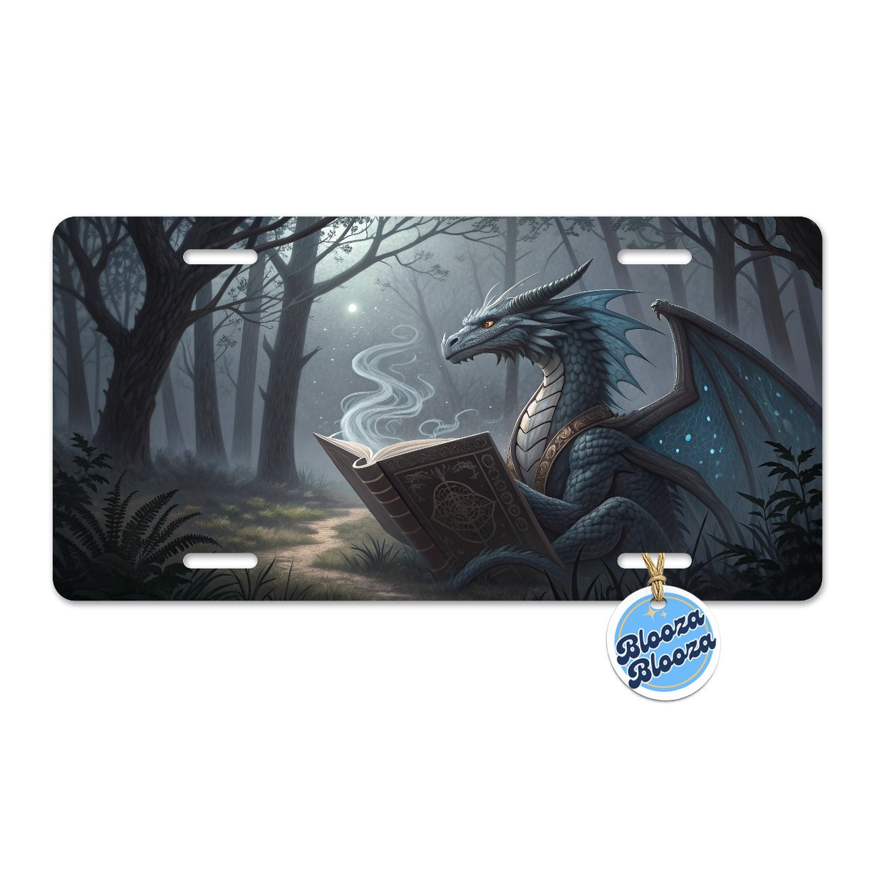 Misty Dragon Reading Book Metal Vanity Novelty Tag License Plate for Trucks Cars SUVs