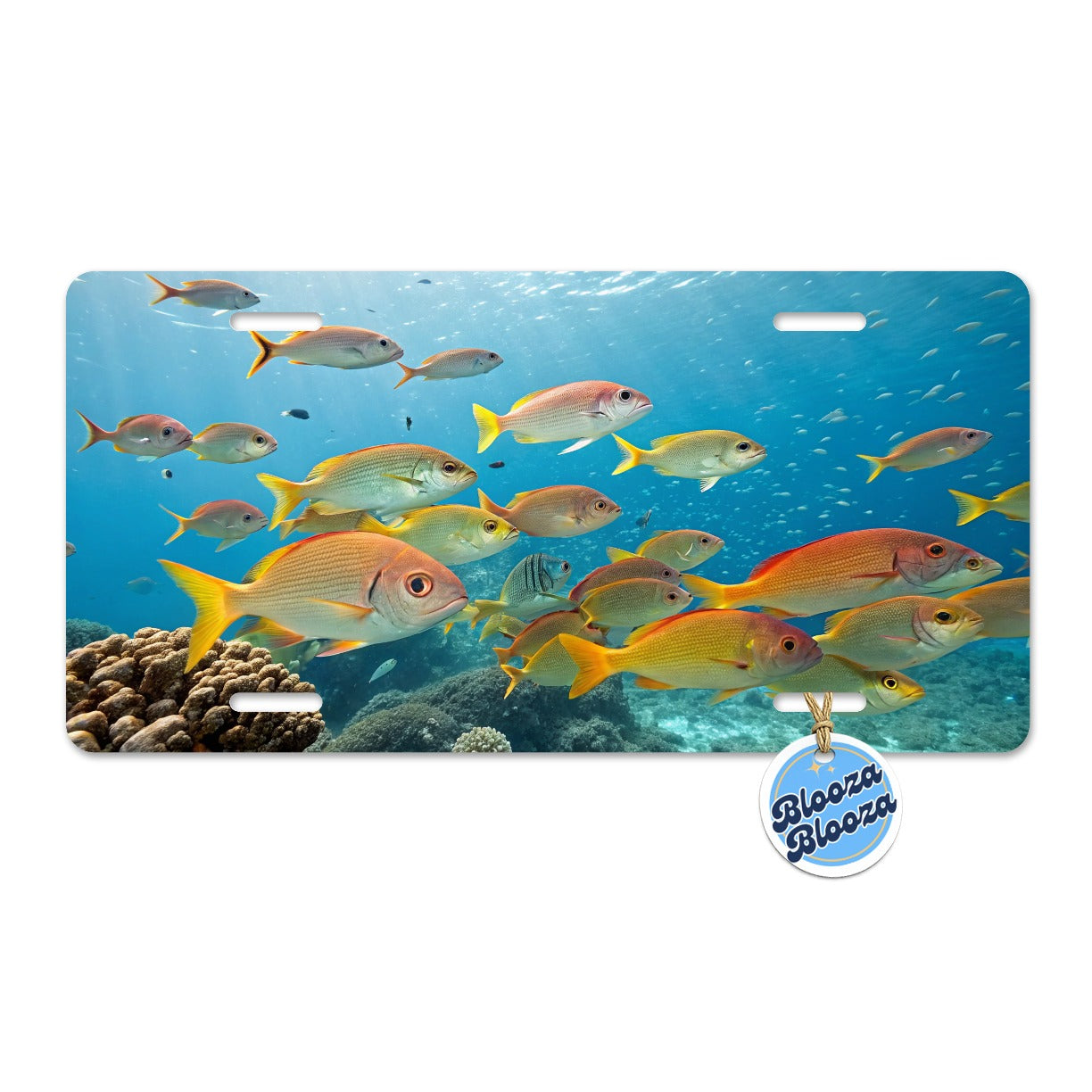 School of Fish Underwater Tropical Metal Vanity Novelty Tag License Plate for Trucks Cars SUVs