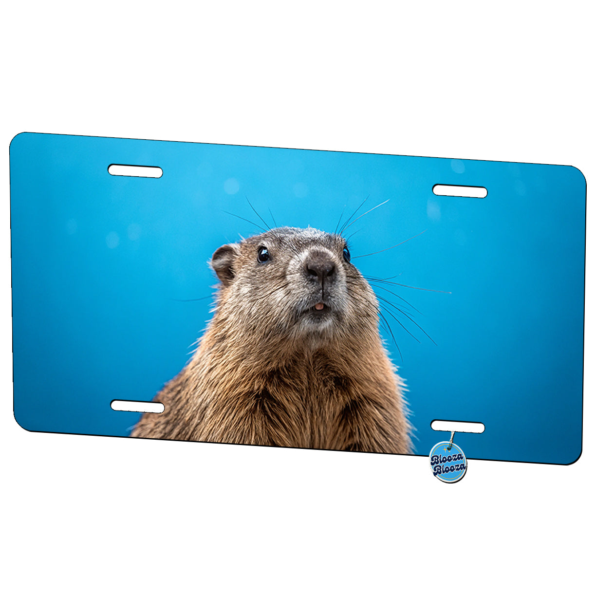 Beaver Blue Background Metal Vanity Novelty Tag License Plate for Trucks Cars SUVs