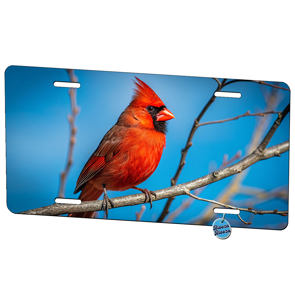 Cardinal Bird Face Blue Background Metal Vanity Novelty Tag License Plate for Trucks Cars SUVs