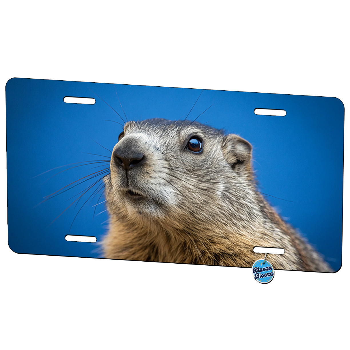 Groundhog Face Blue Background Metal Vanity Novelty Tag License Plate for Trucks Cars SUVs