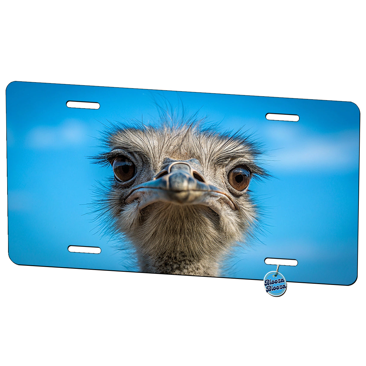 Ostrich Bird Face Blue Background Metal Vanity Novelty Tag License Plate for Trucks Cars SUVs