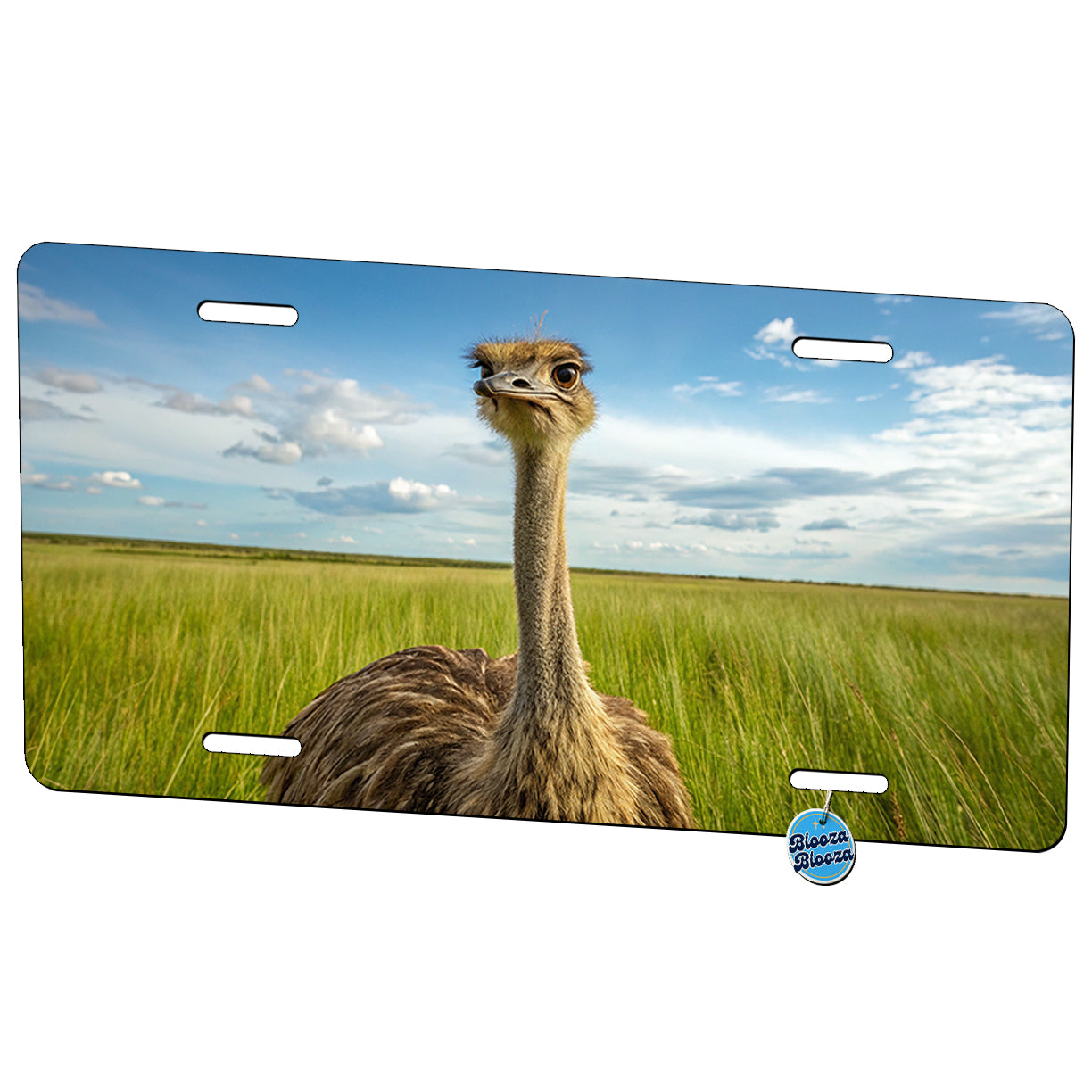 Ostrich Bird In Field Metal Vanity Novelty Tag License Plate for Trucks Cars SUVs